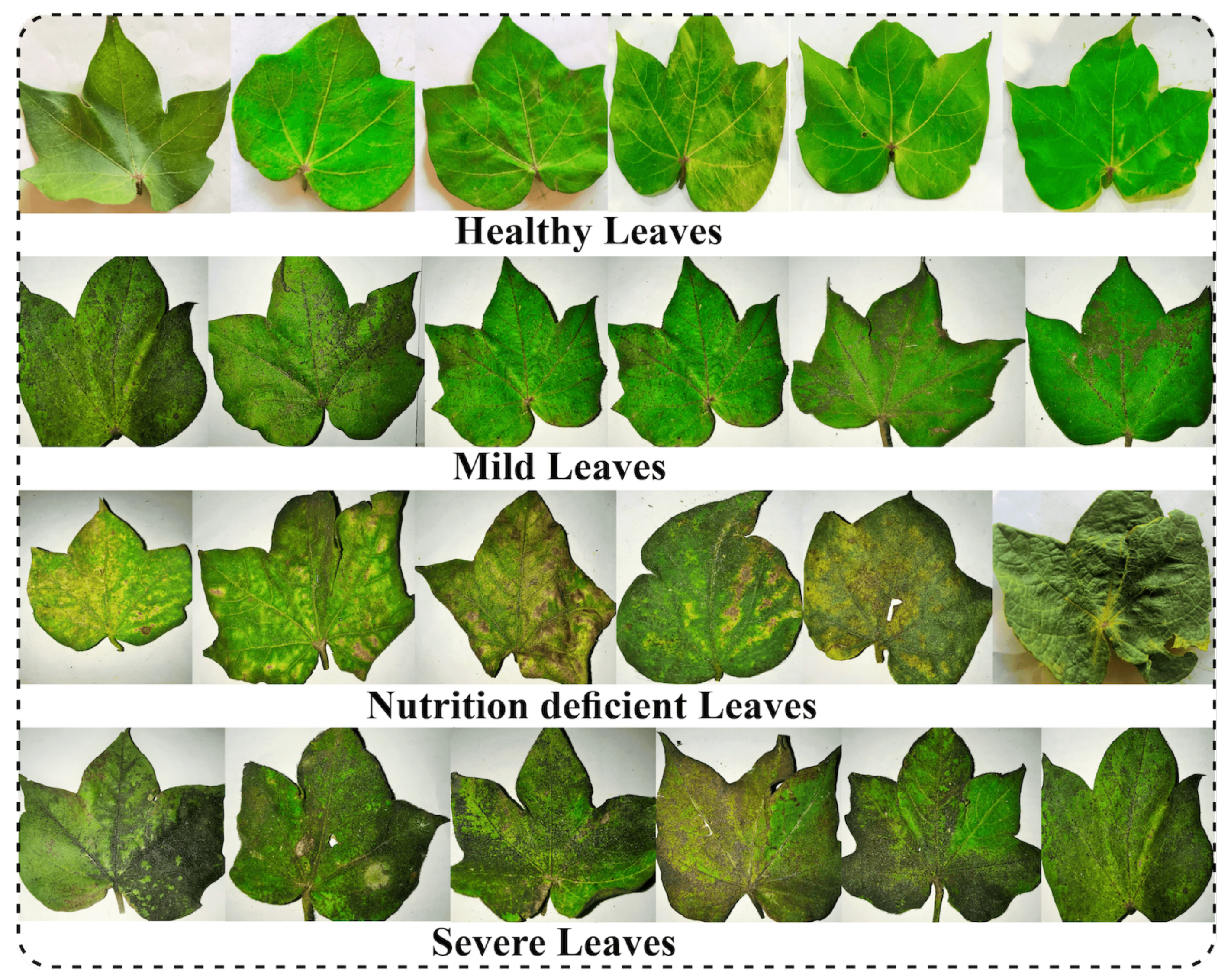 Agriculture 12 01529 g001