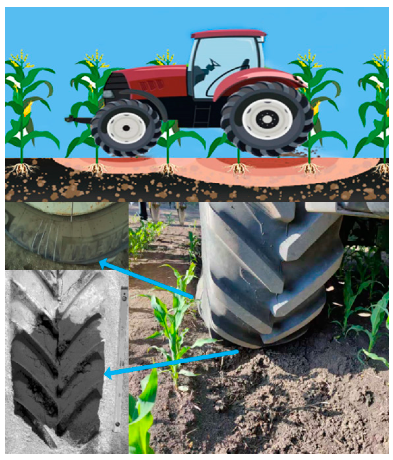 Agriculture 12 01530 g002