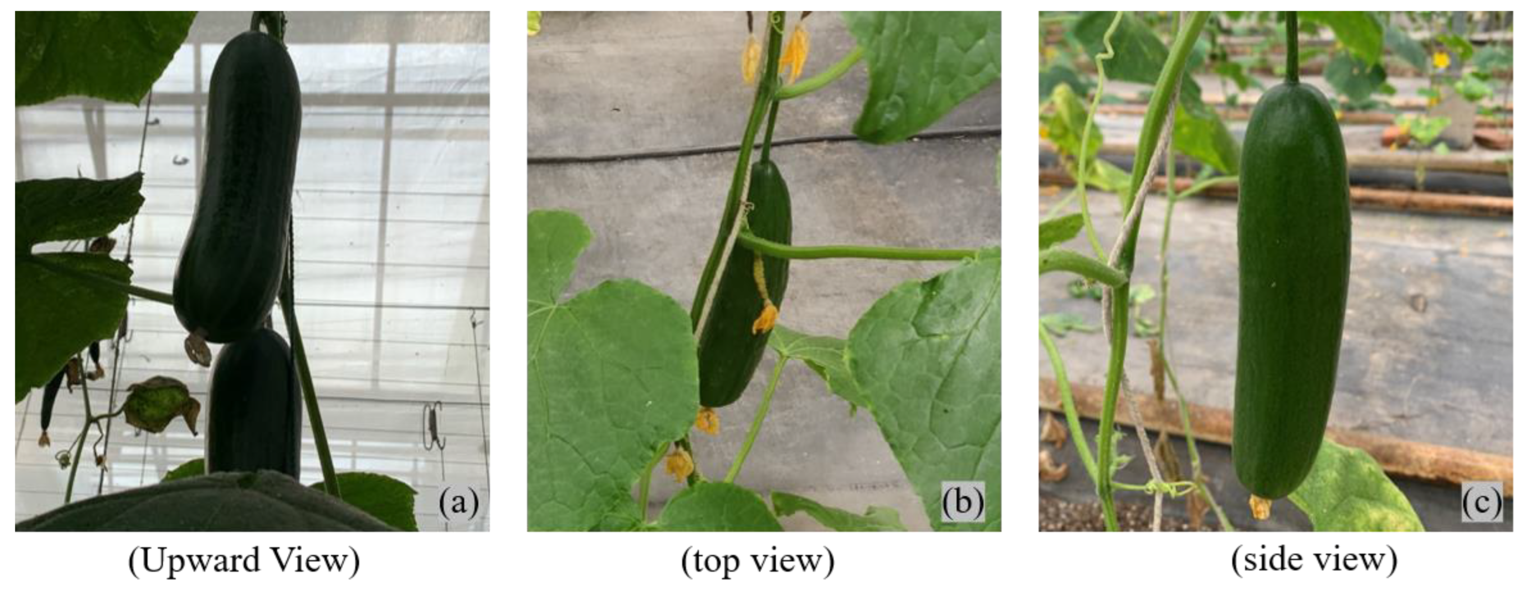 Agriculture 12 01556 g001 Agriculture 12 01556 g001