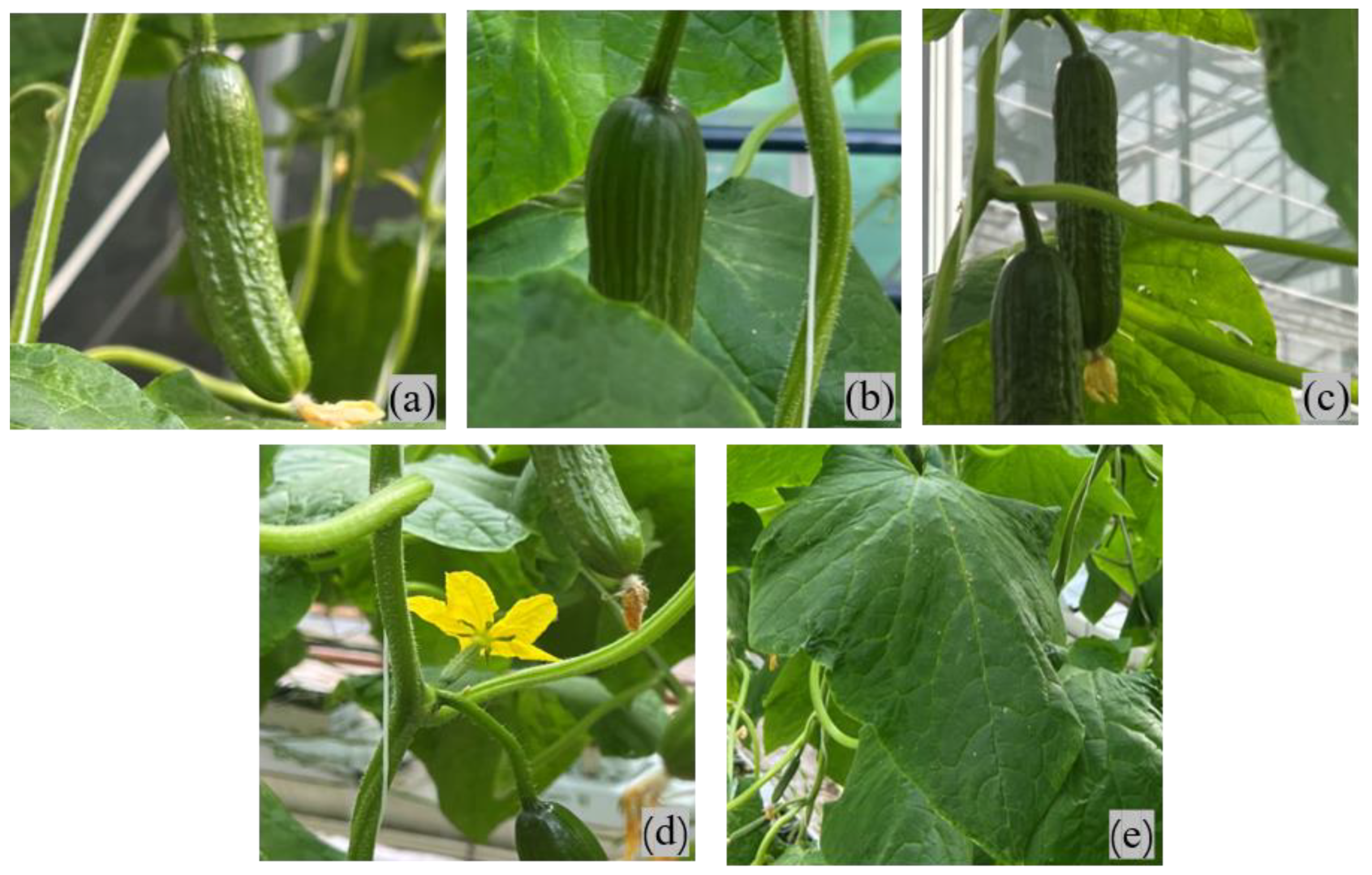 Agriculture 12 01556 g002 Agriculture 12 01556 g002