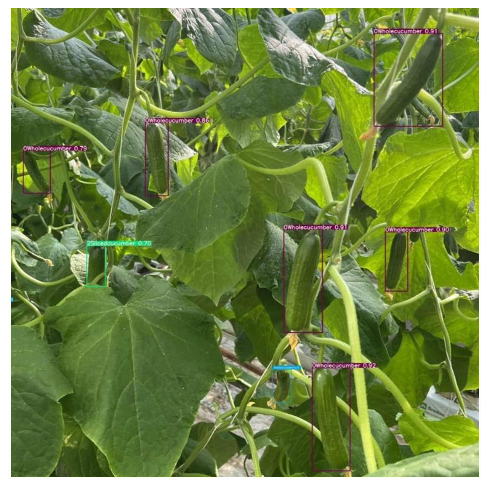 Agriculture 12 01556 g010 Agriculture 12 01556 g010