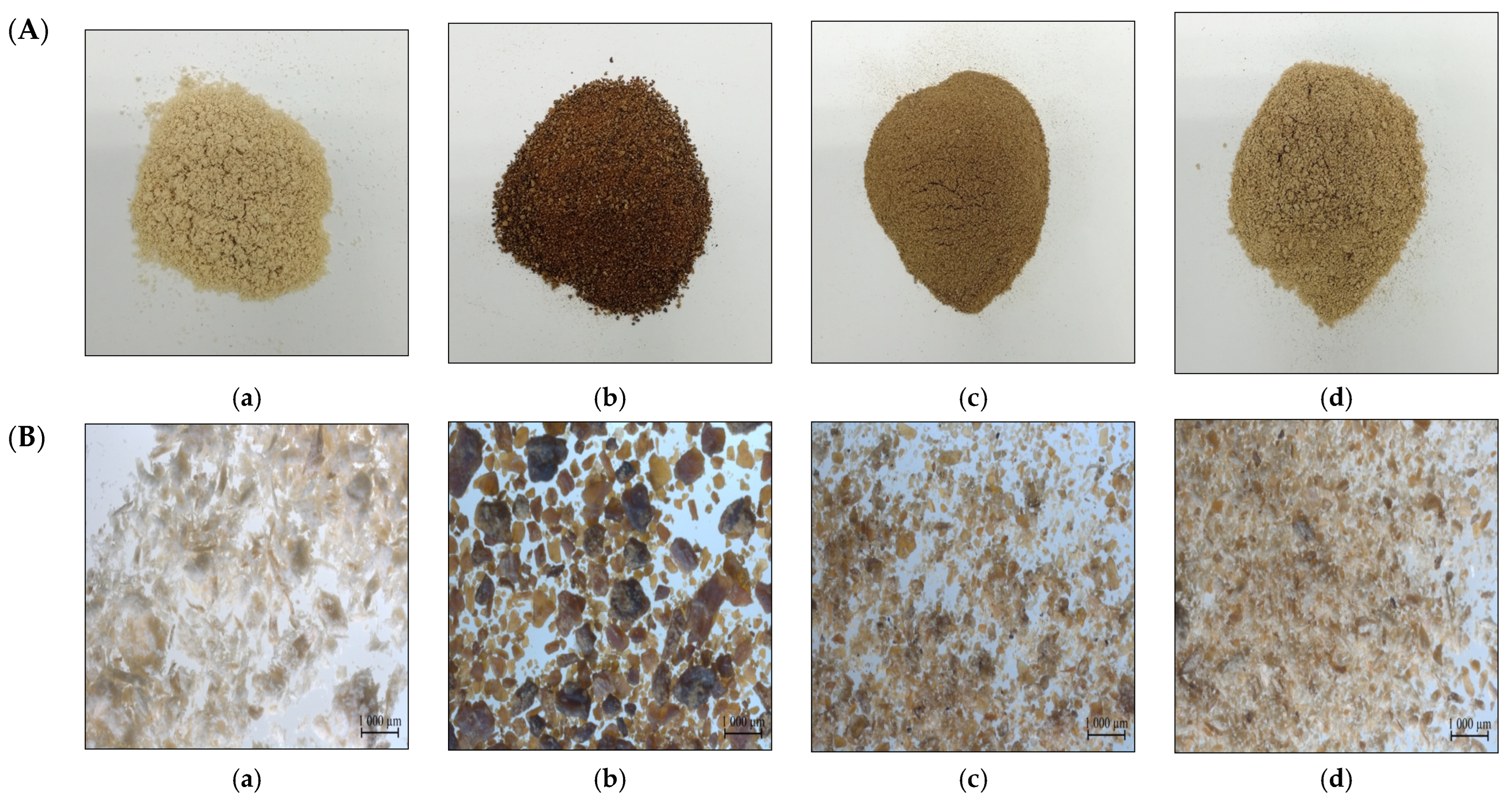 Generated irregular physical (a) coarser and (b) denser meshes in