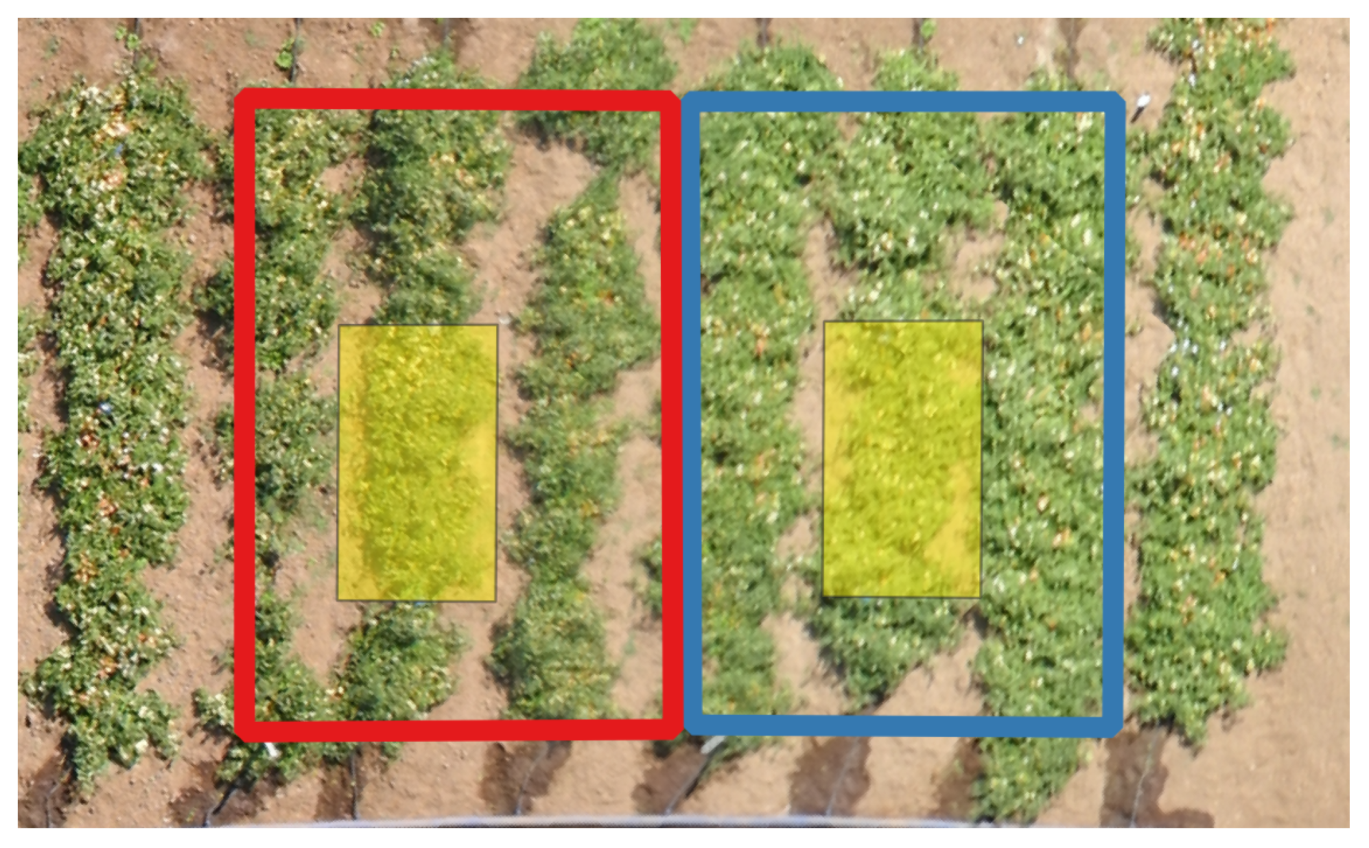 Agriculture 12 01655 g004