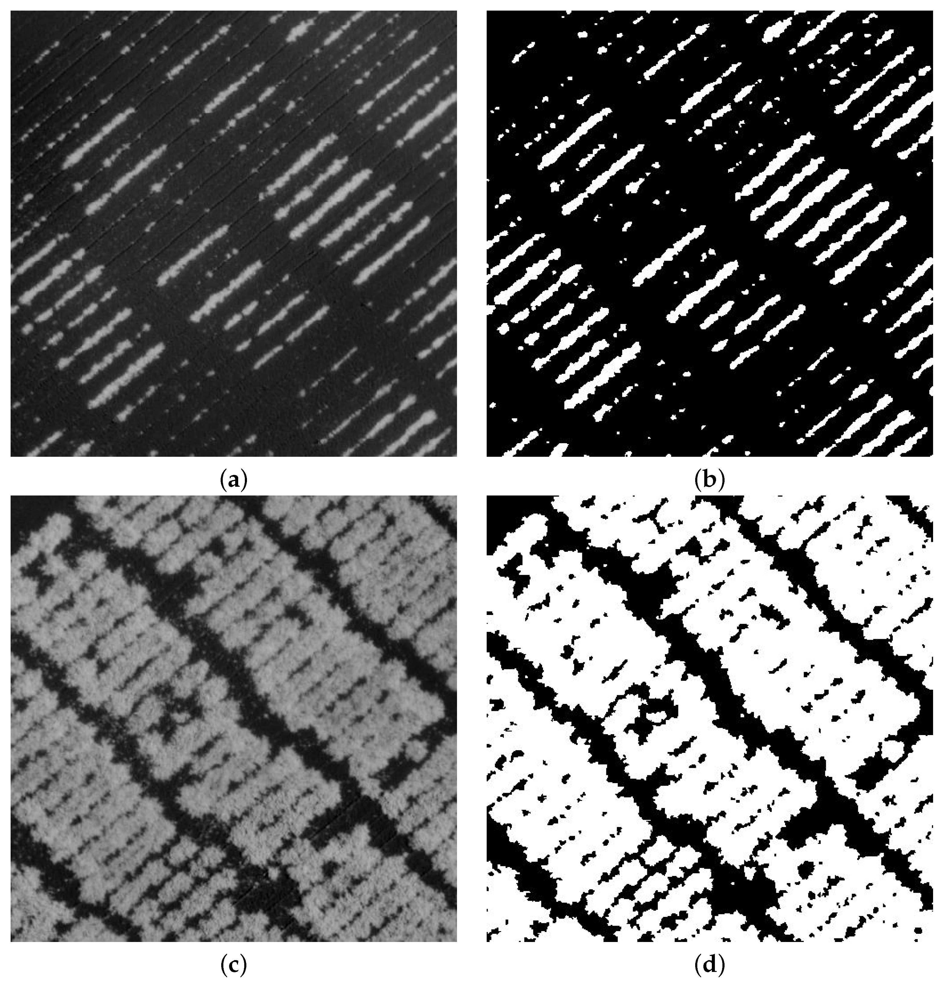 Agriculture 12 01655 g007