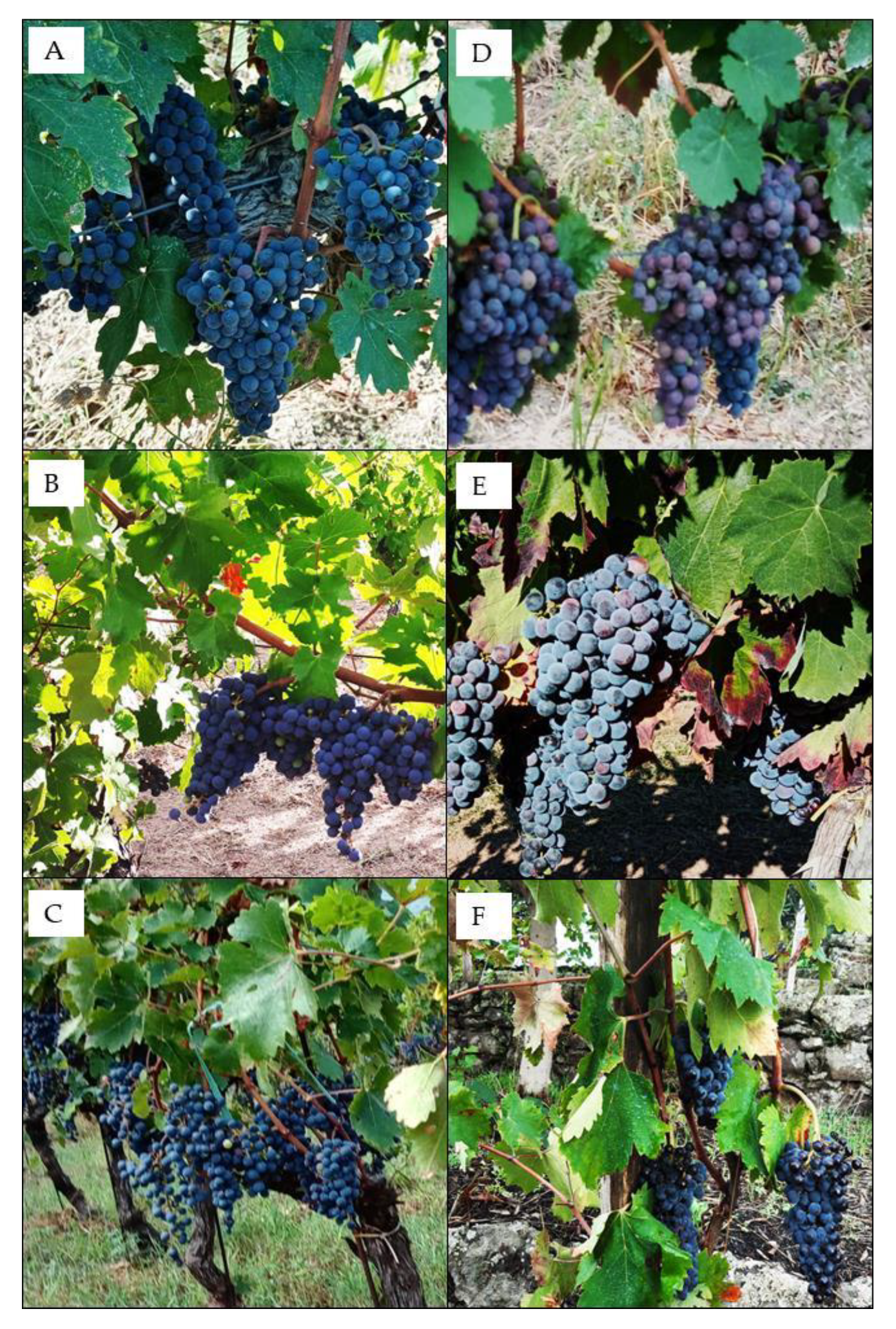 Agriculture 12 01660 g009 Agriculture 12 01660 g009