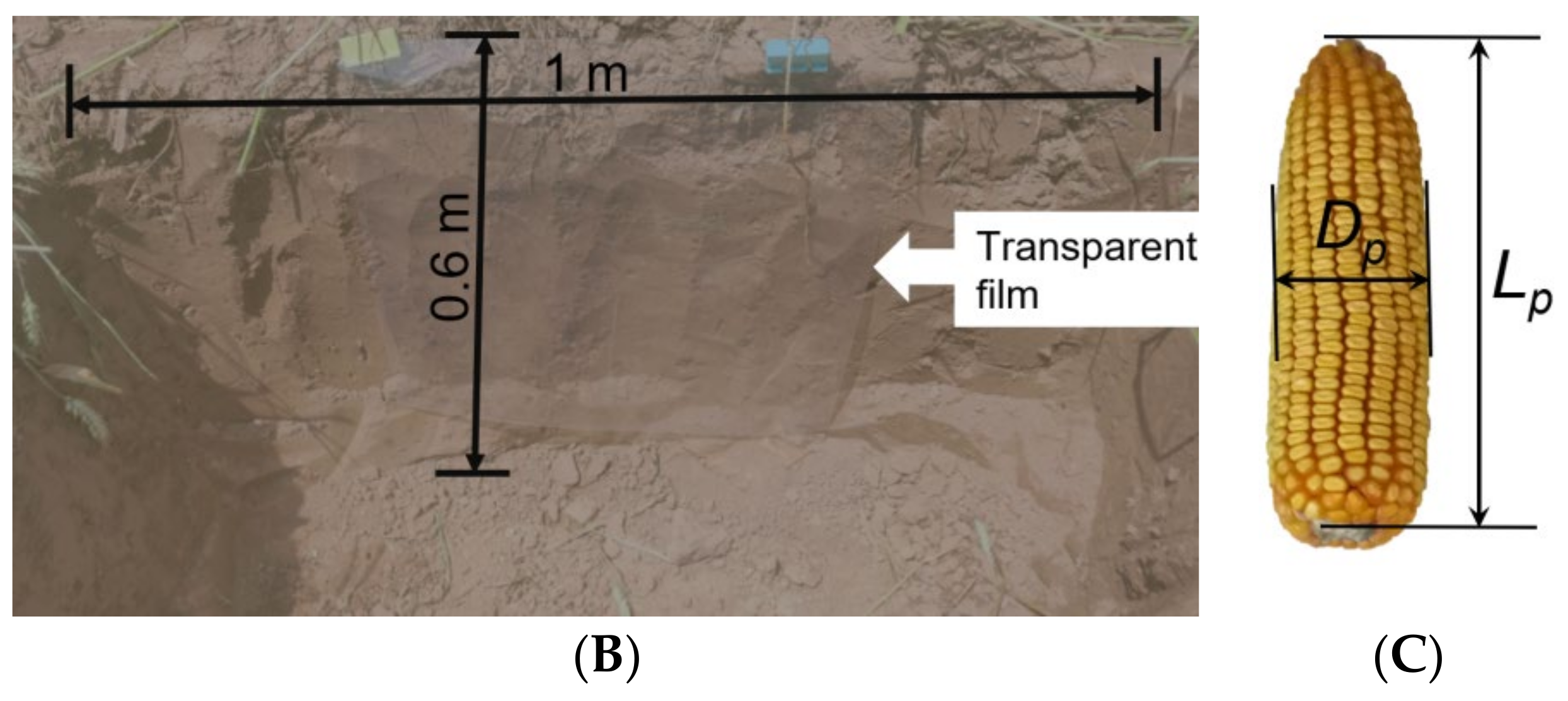Agriculture 12 01684 g003b