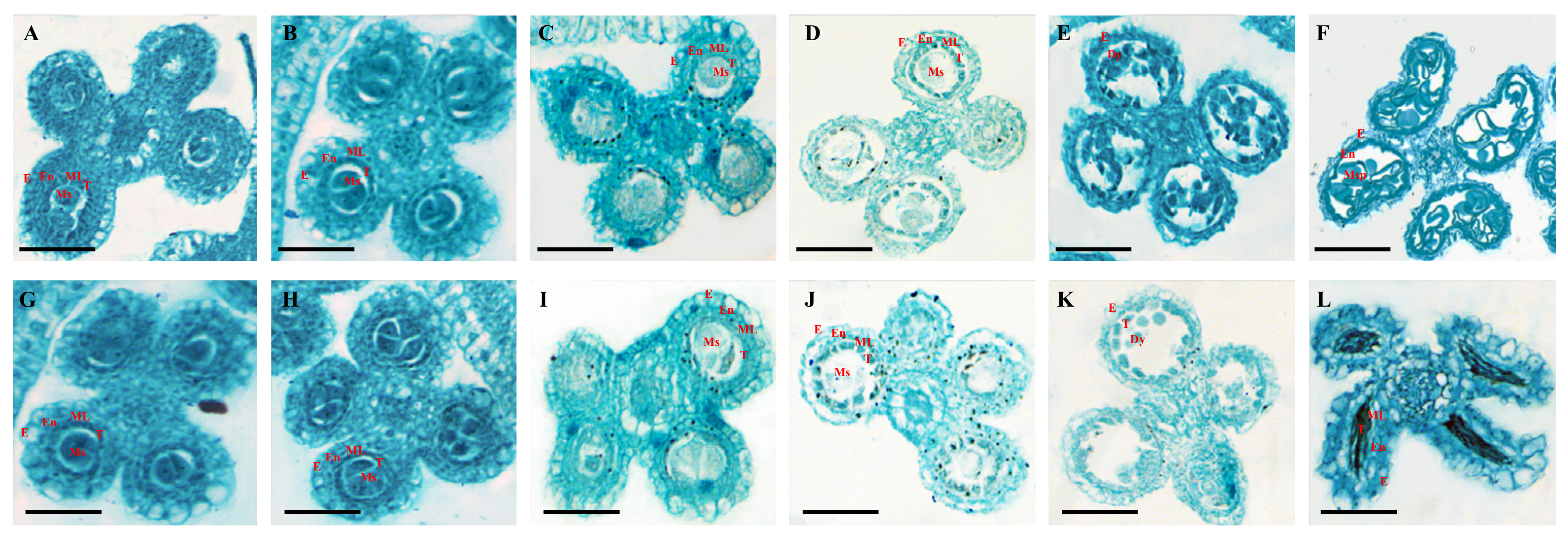 Agriculture 12 01685 g004
