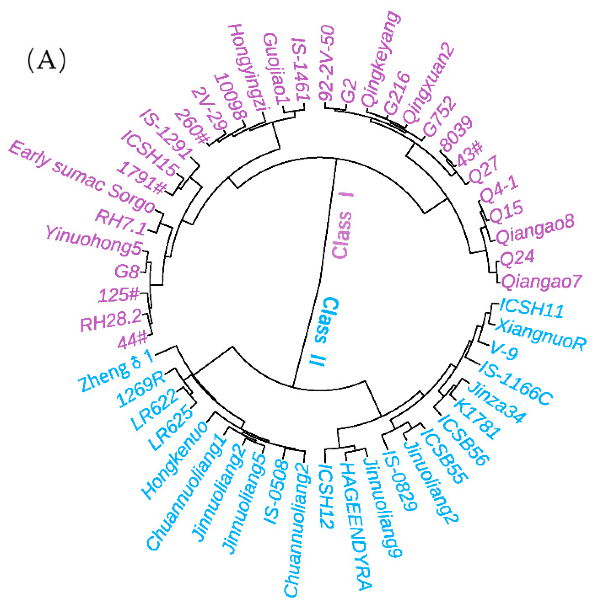 Agriculture 12 01696 g004a Agriculture 12 01696 g004a