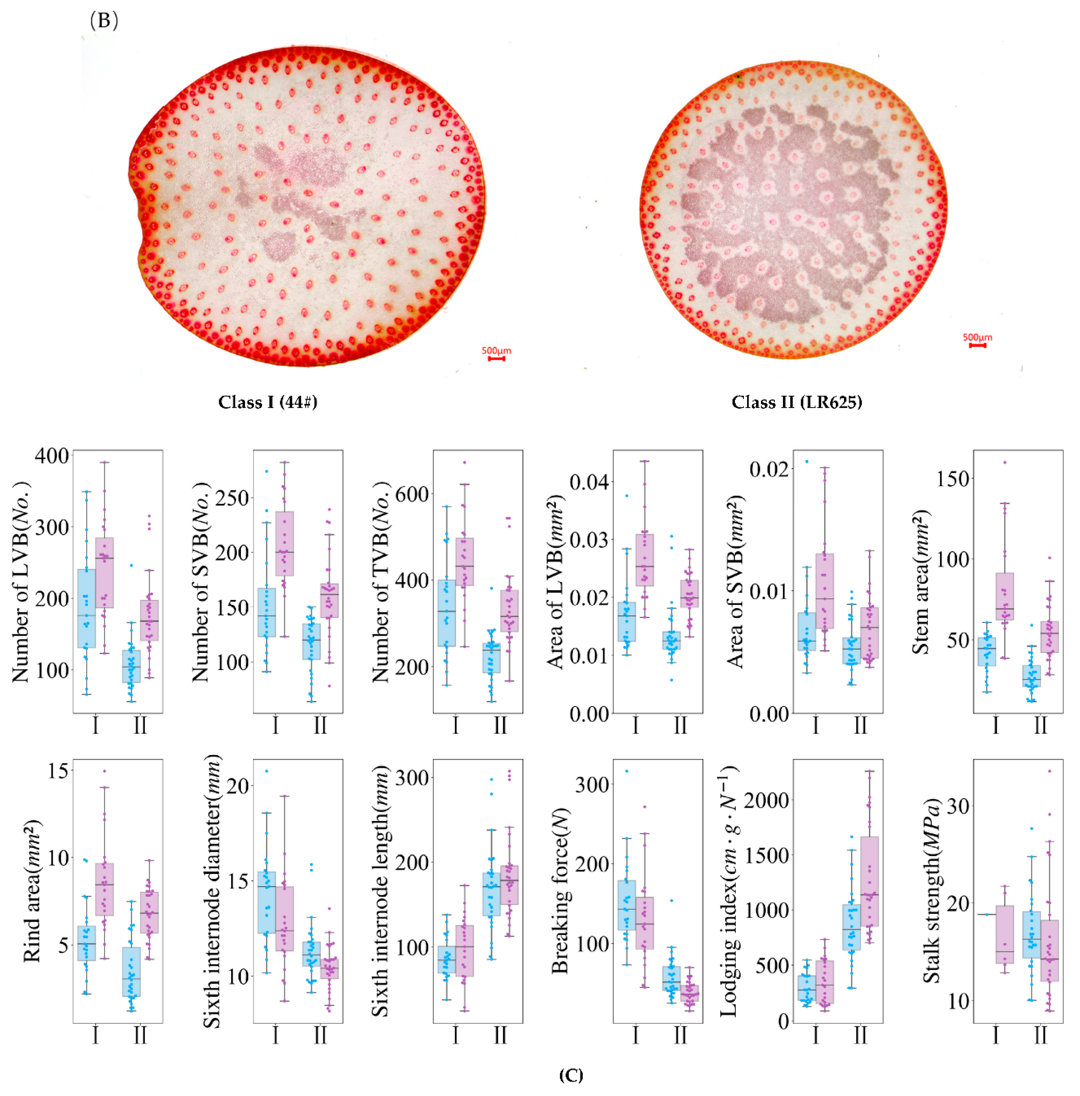 Agriculture 12 01696 g004b Agriculture 12 01696 g004b