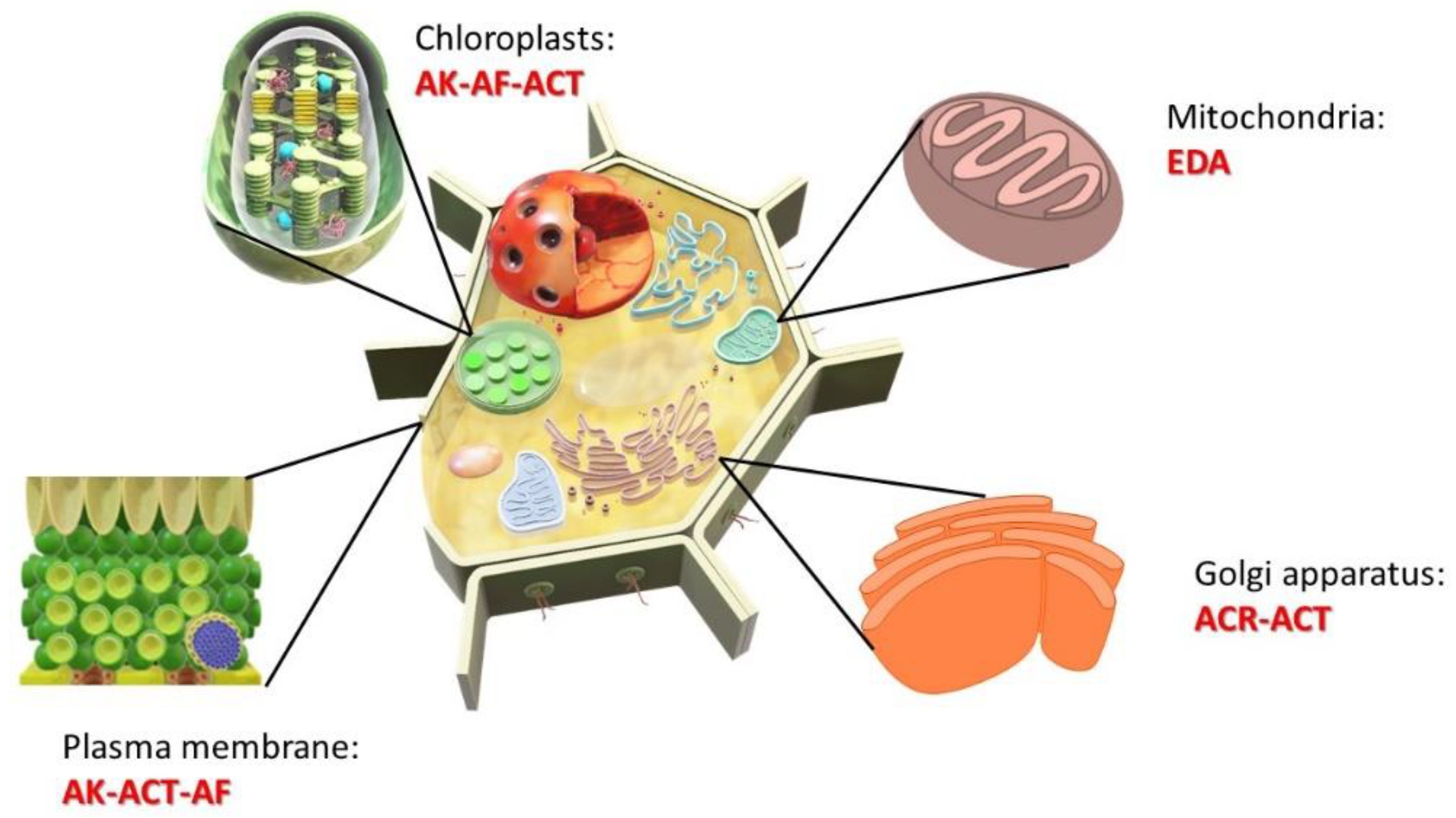 Agriculture 12 01722 g002 Agriculture 12 01722 g002