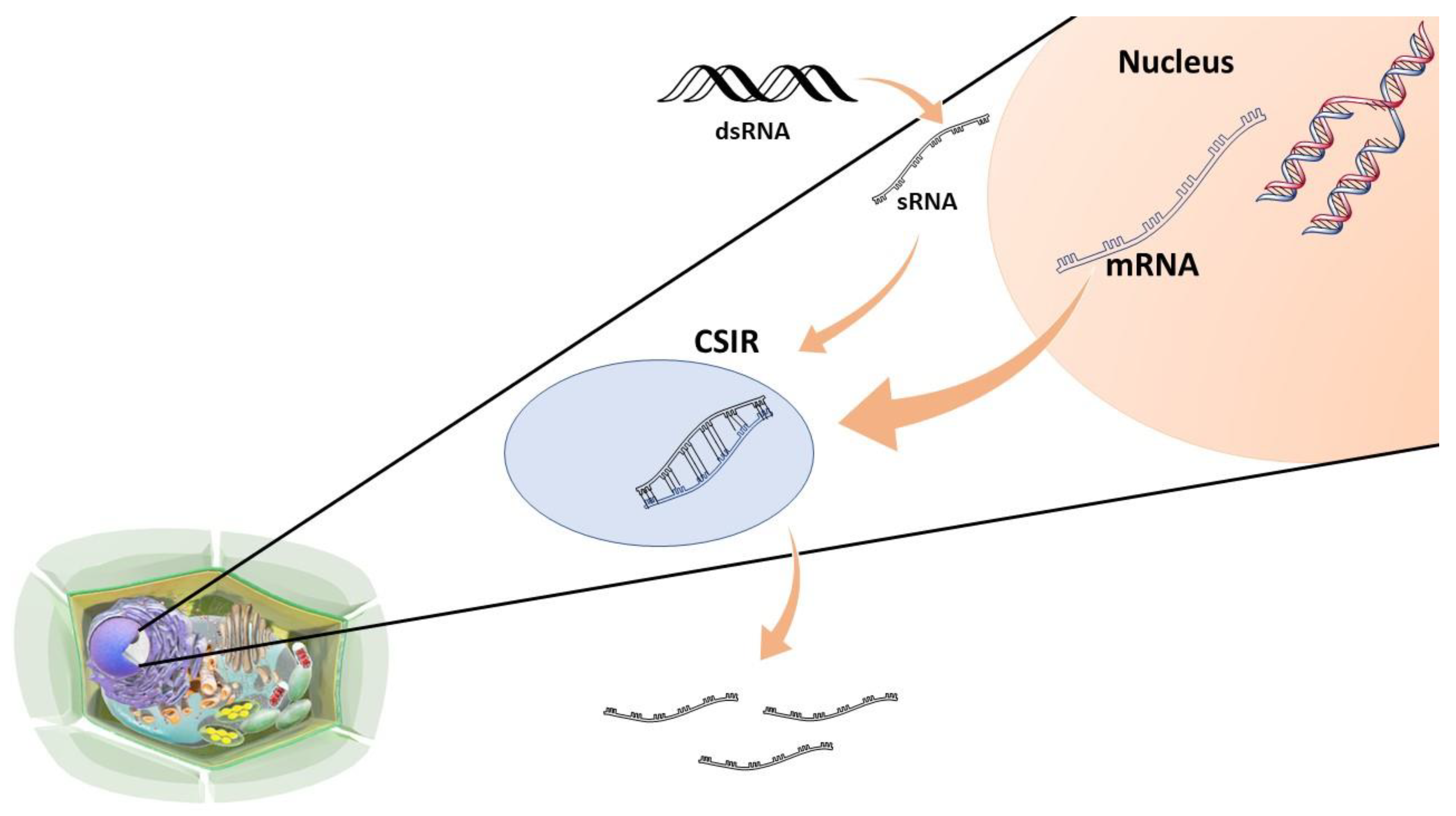 Agriculture 12 01722 g006 Agriculture 12 01722 g006