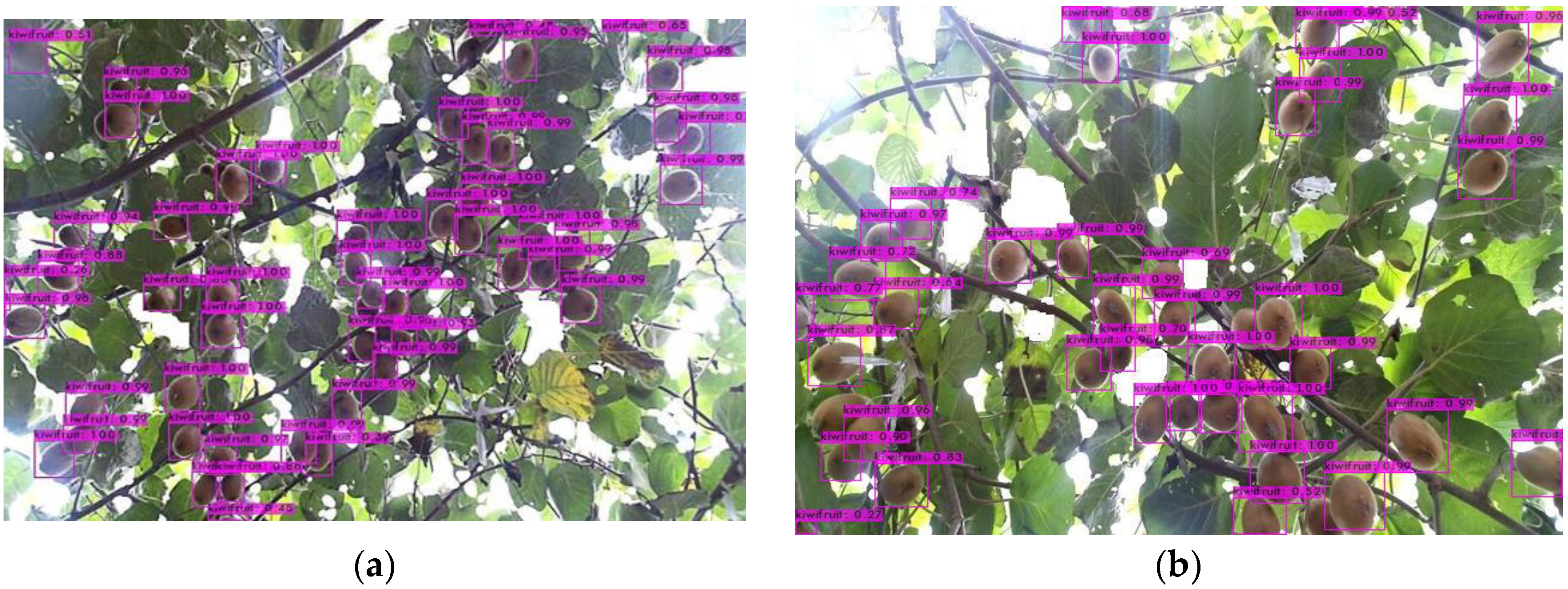 Agriculture 12 01763 g012