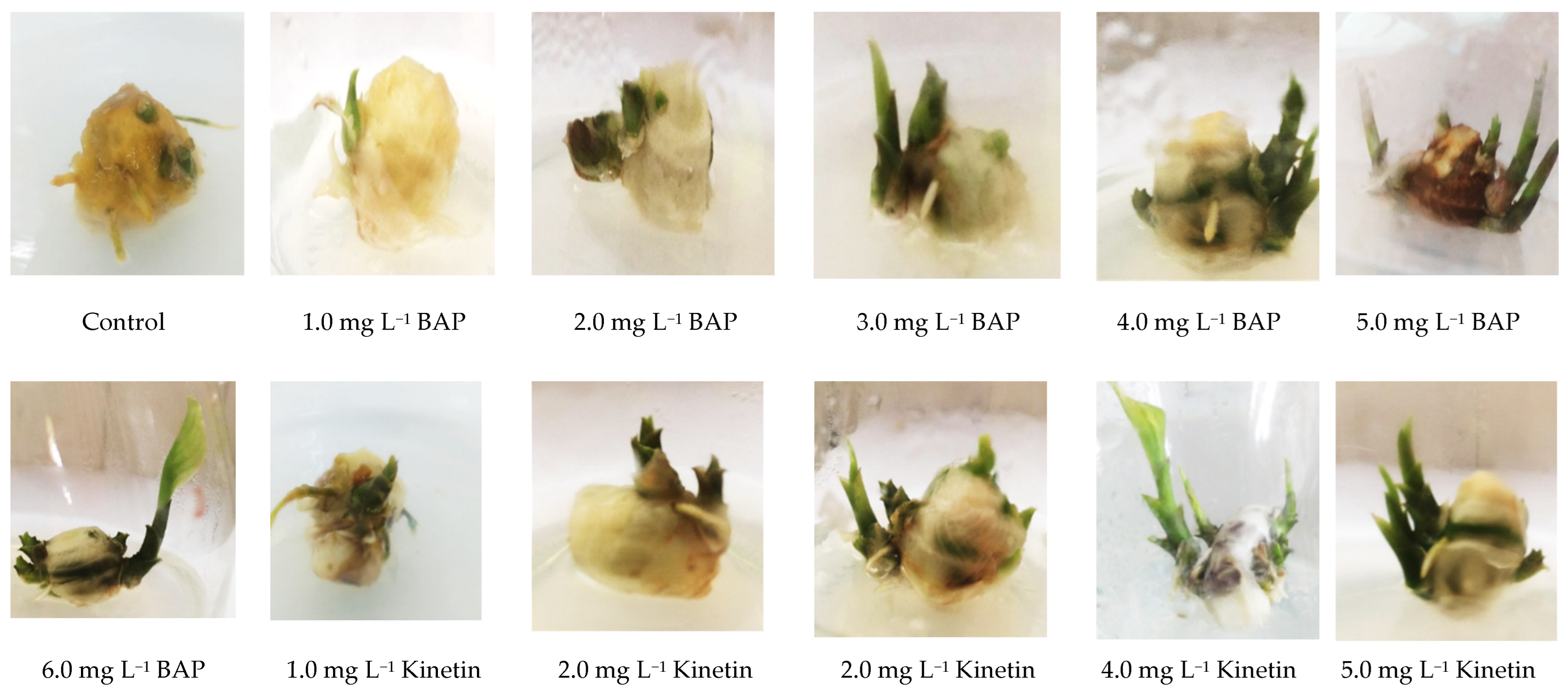 Agriculture 12 01766 g001