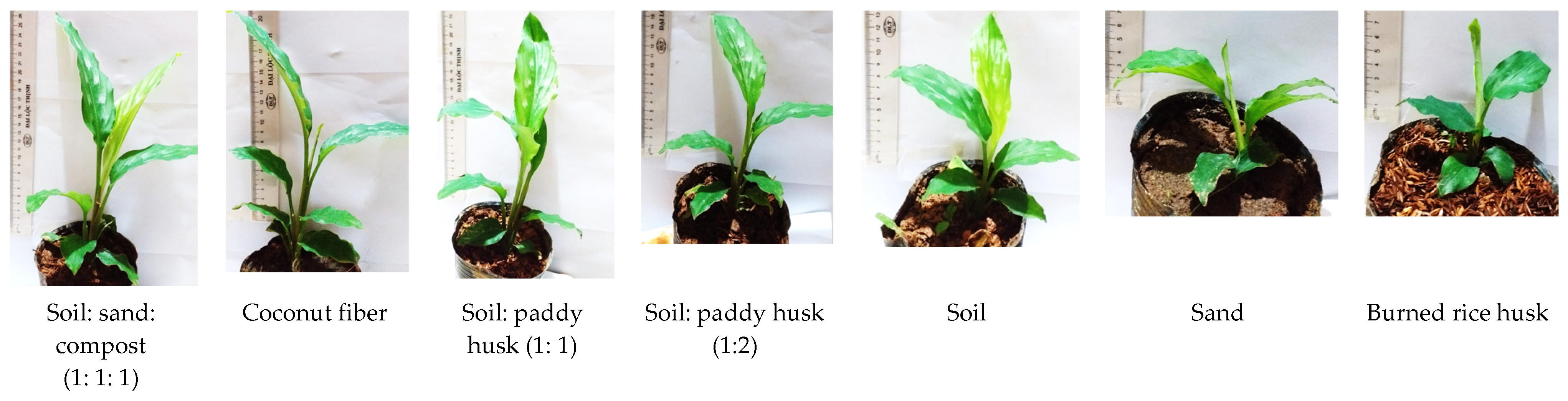 Agriculture 12 01766 g005