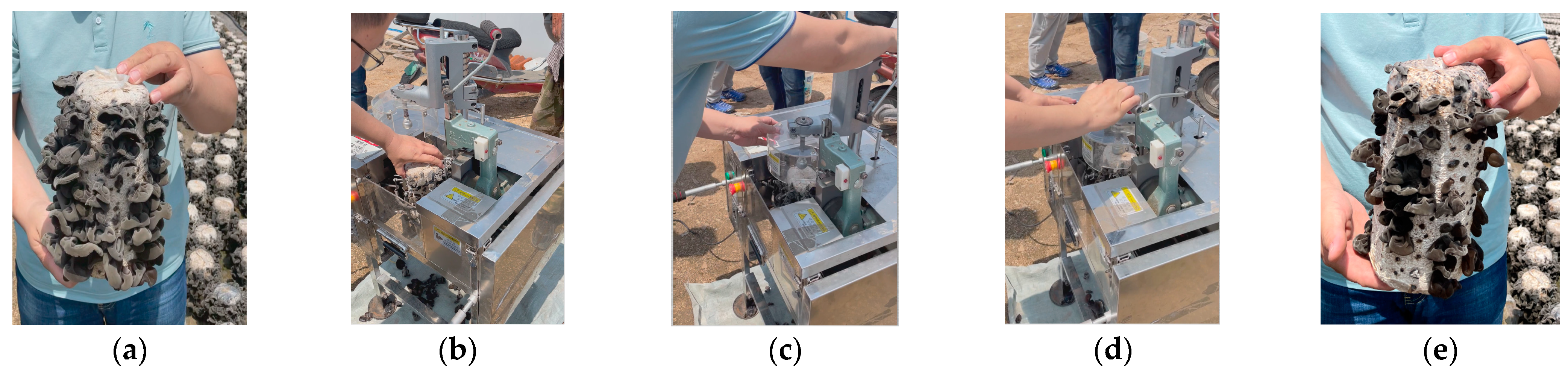 Agriculture 12 01778 g002