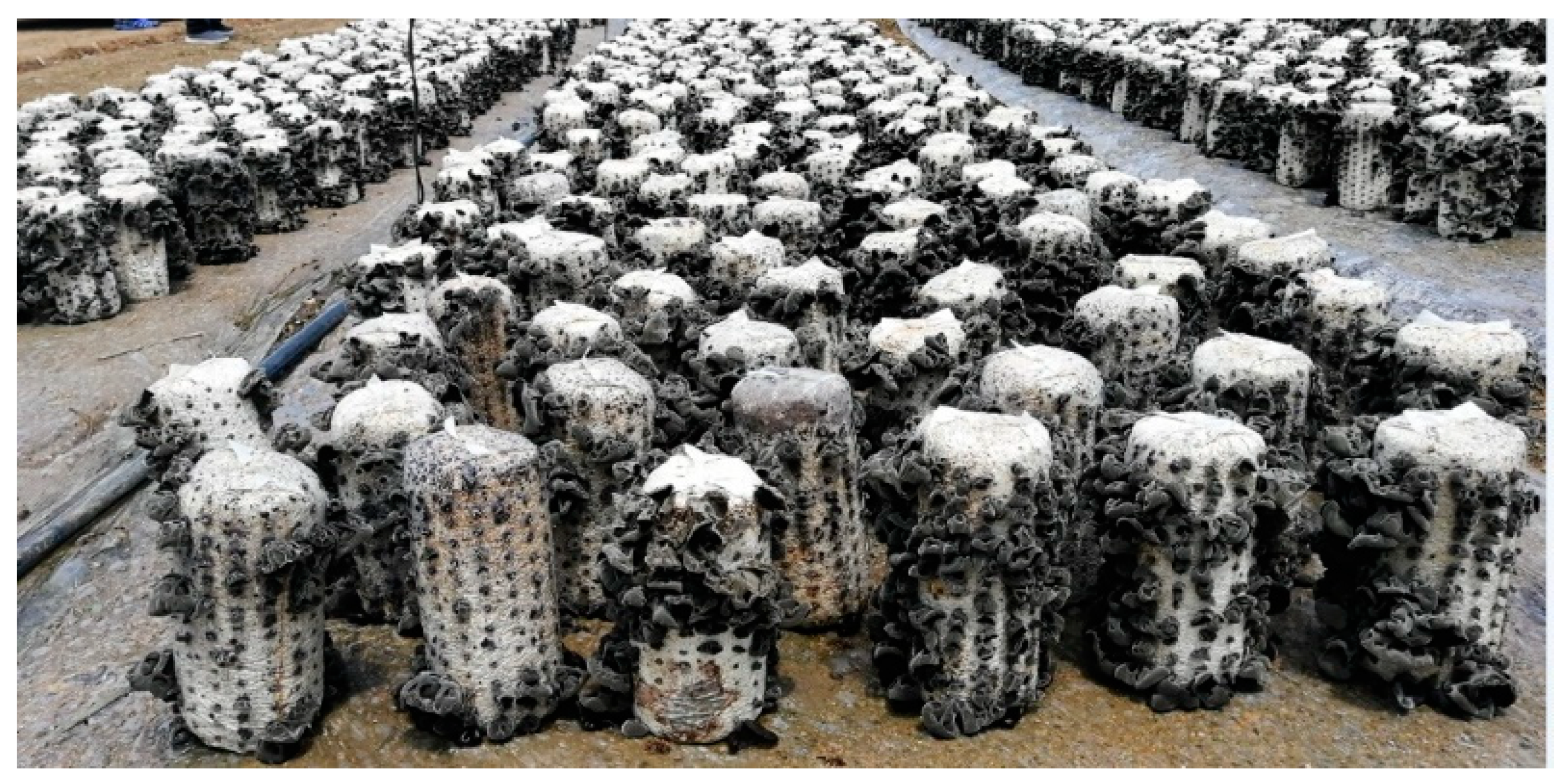 Agriculture 12 01778 g003