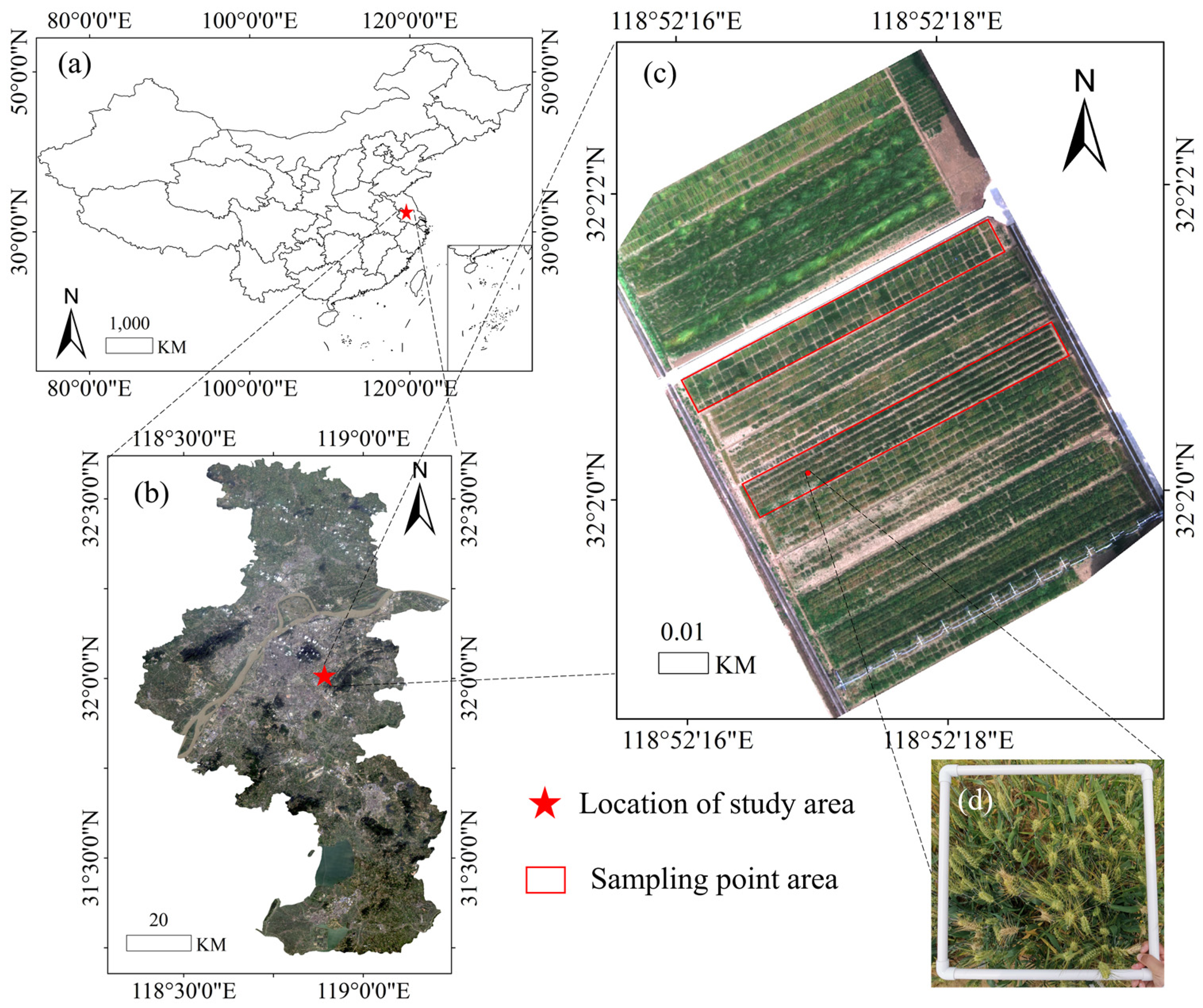 Agriculture 12 01785 g001