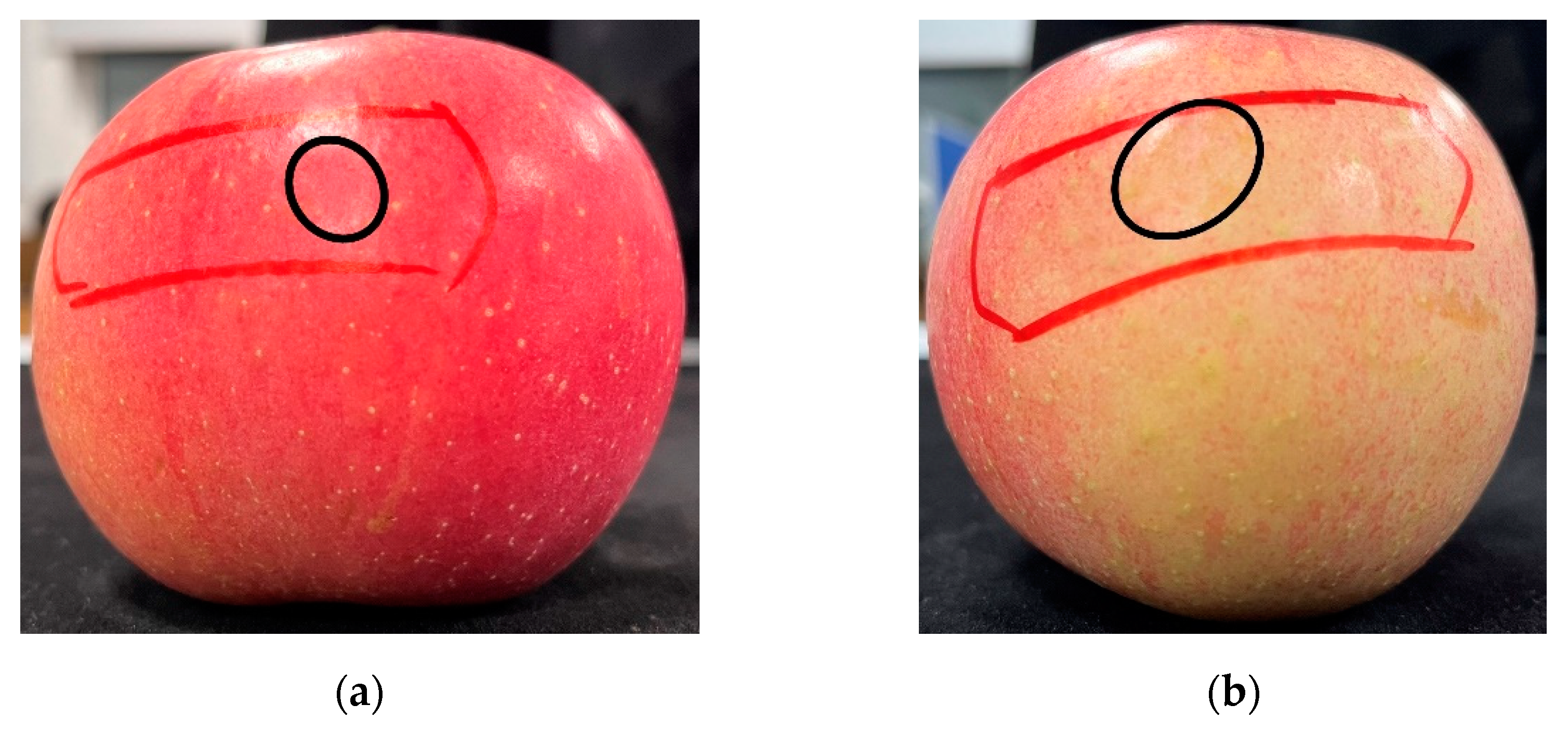 Agriculture 12 01802 g025 Agriculture 12 01802 g025