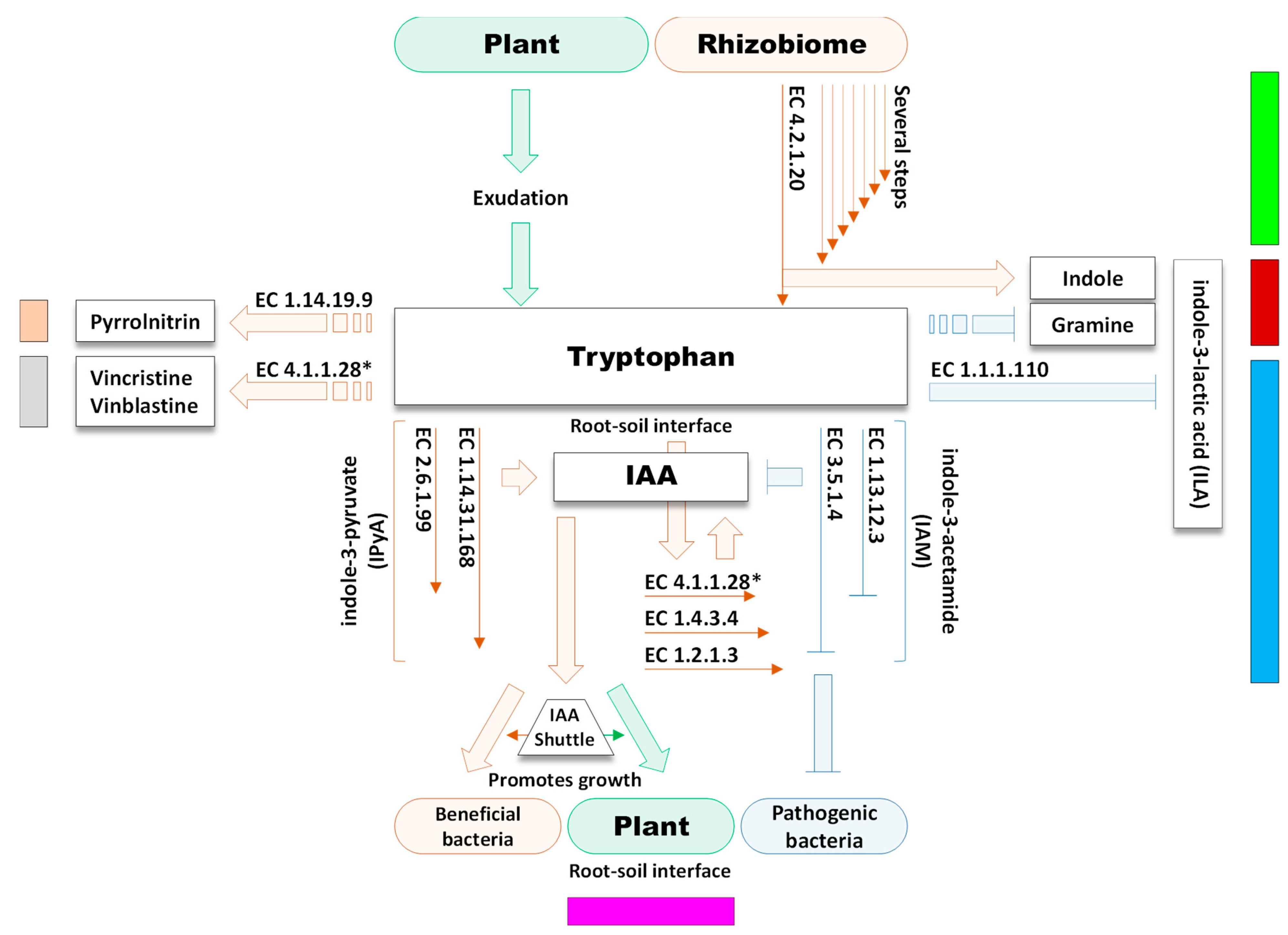 Agriculture 12 01814 g006