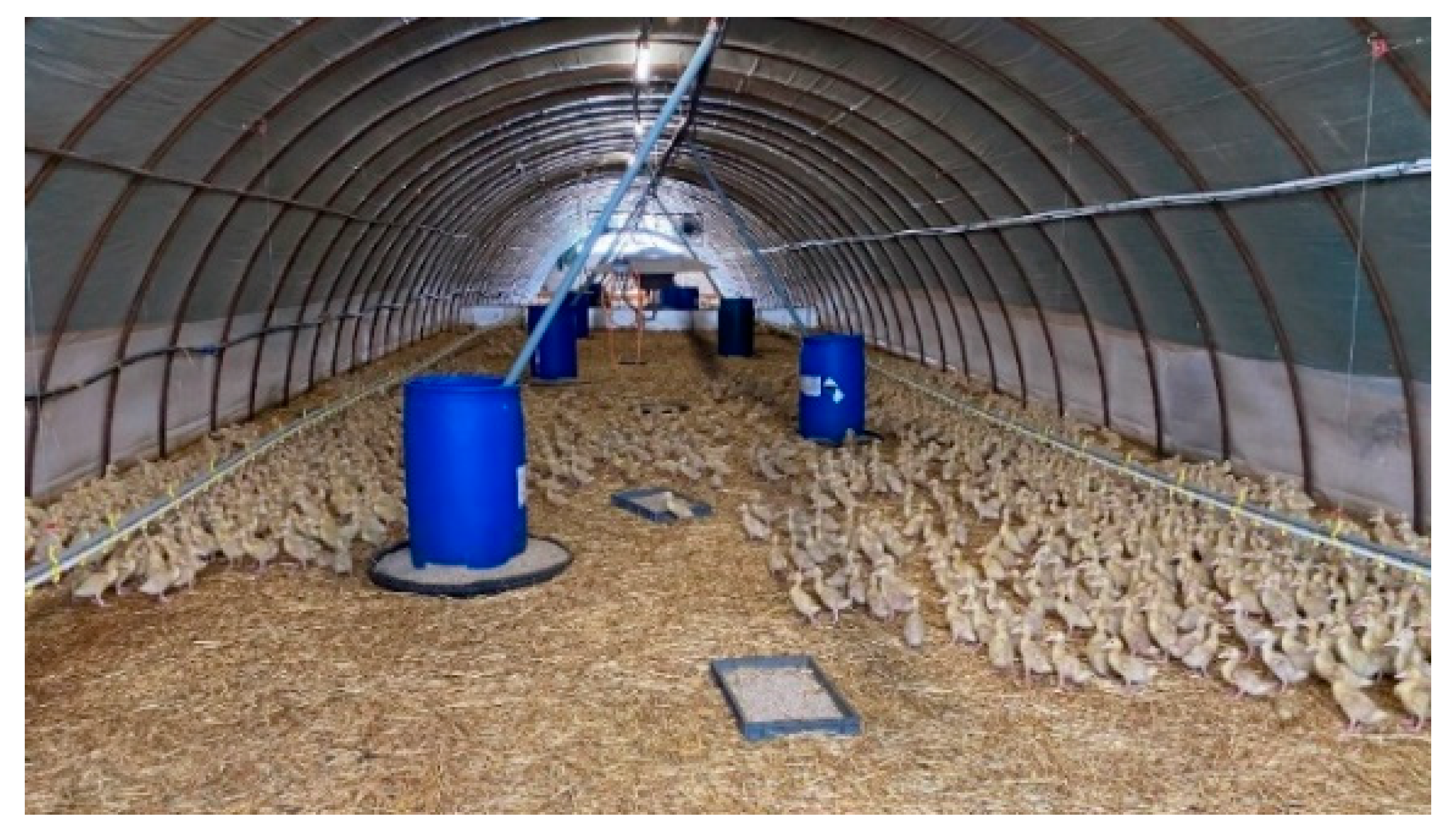 Agriculture 12 01869 g003 Agriculture 12 01869 g003