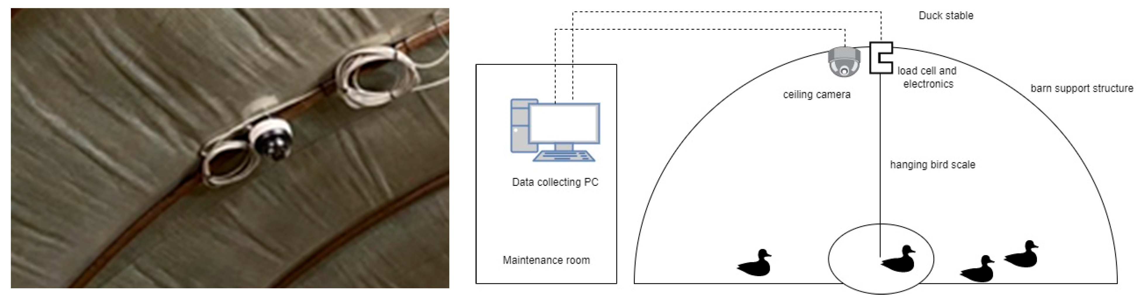 Agriculture 12 01869 g004 Agriculture 12 01869 g004