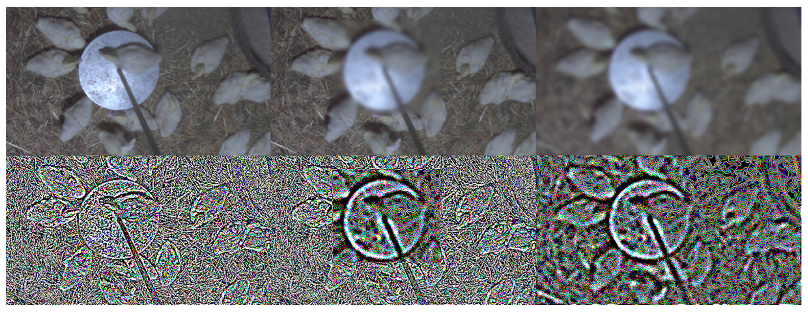 Agriculture 12 01869 g007 Agriculture 12 01869 g007