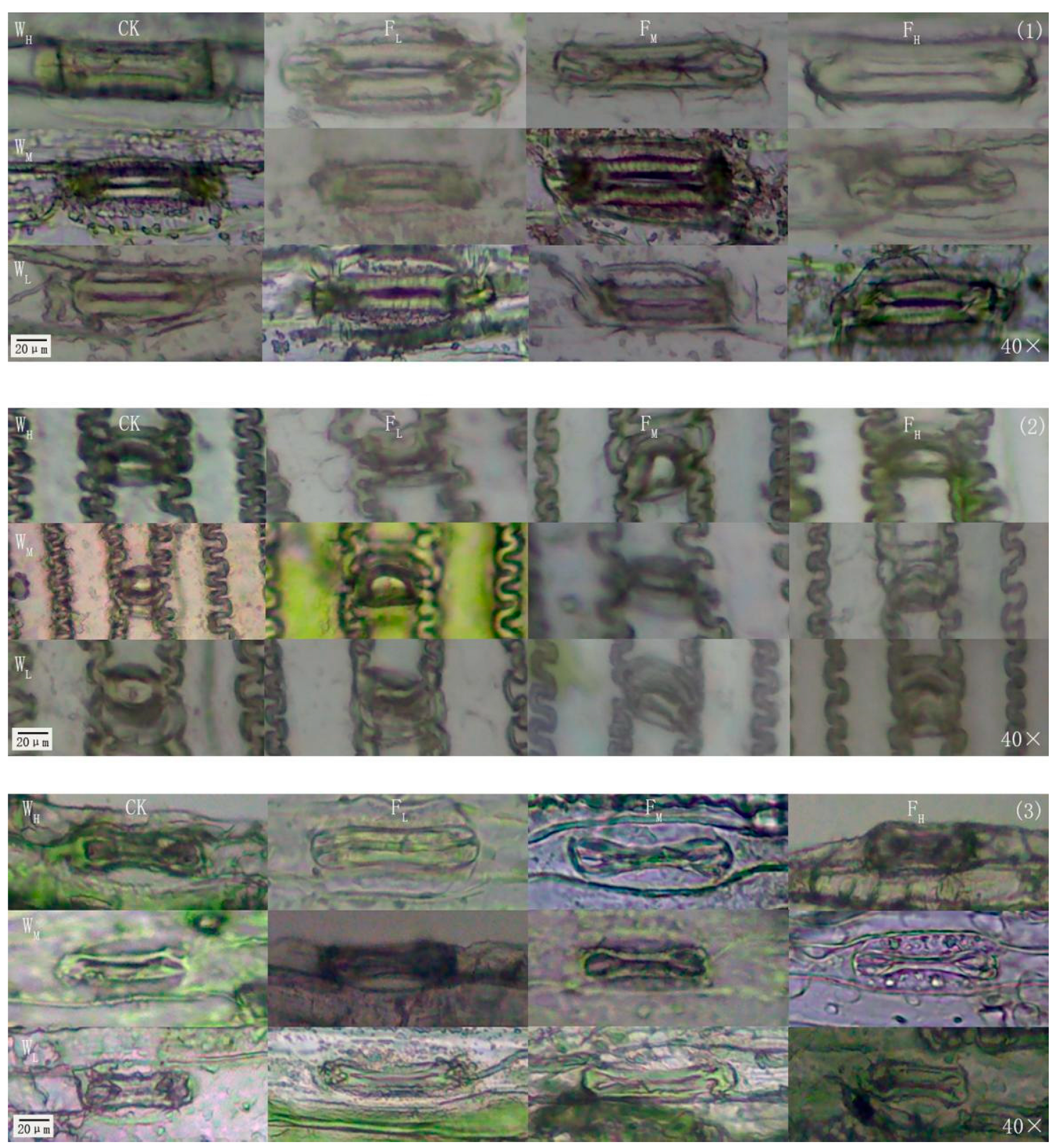 Agriculture 12 01873 g010 Agriculture 12 01873 g010