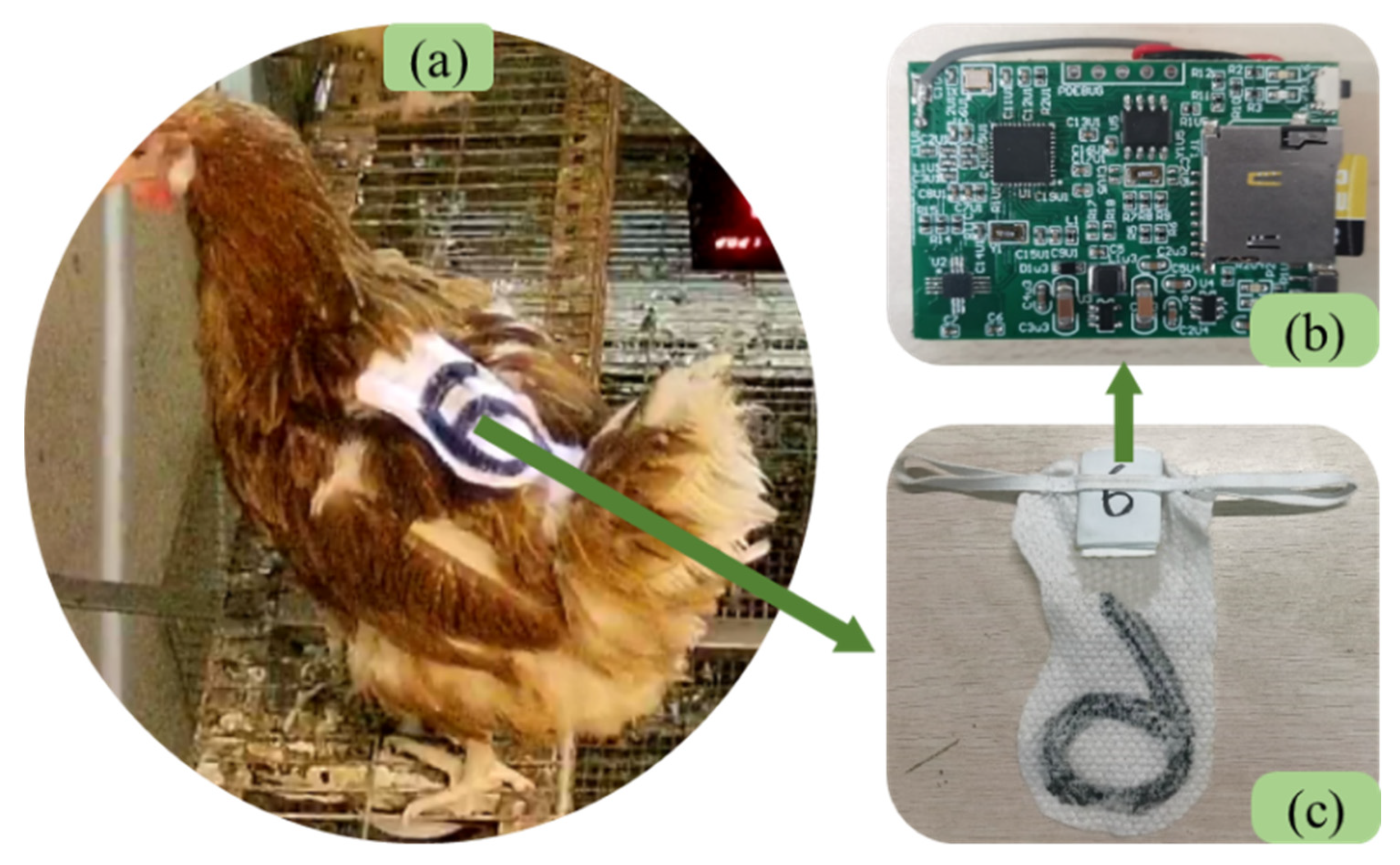 Agriculture 12 01898 g002 Agriculture 12 01898 g002
