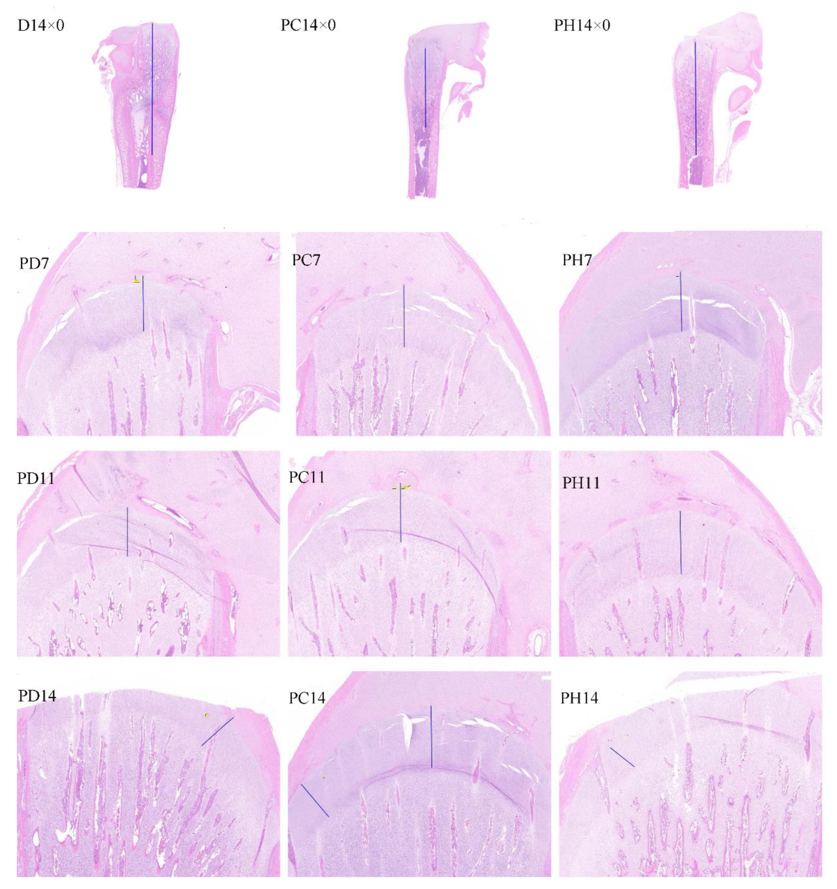 Agriculture 12 01908 g0a1