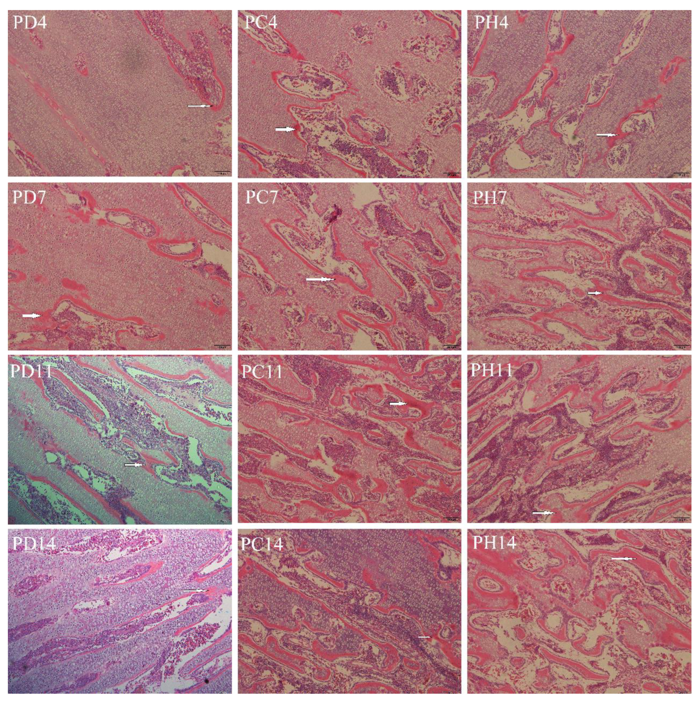 Agriculture 12 01908 g0a2