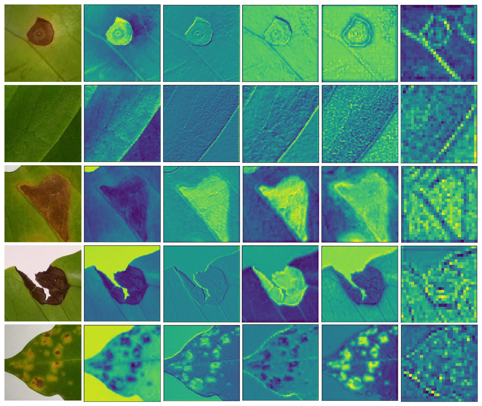 Agriculture 12 01909 g008 Agriculture 12 01909 g008