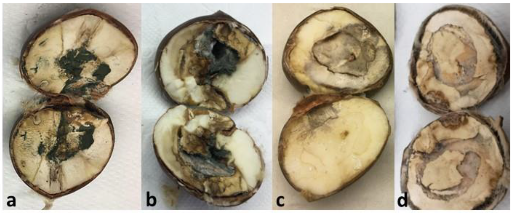 Agriculture 12 01930 g006