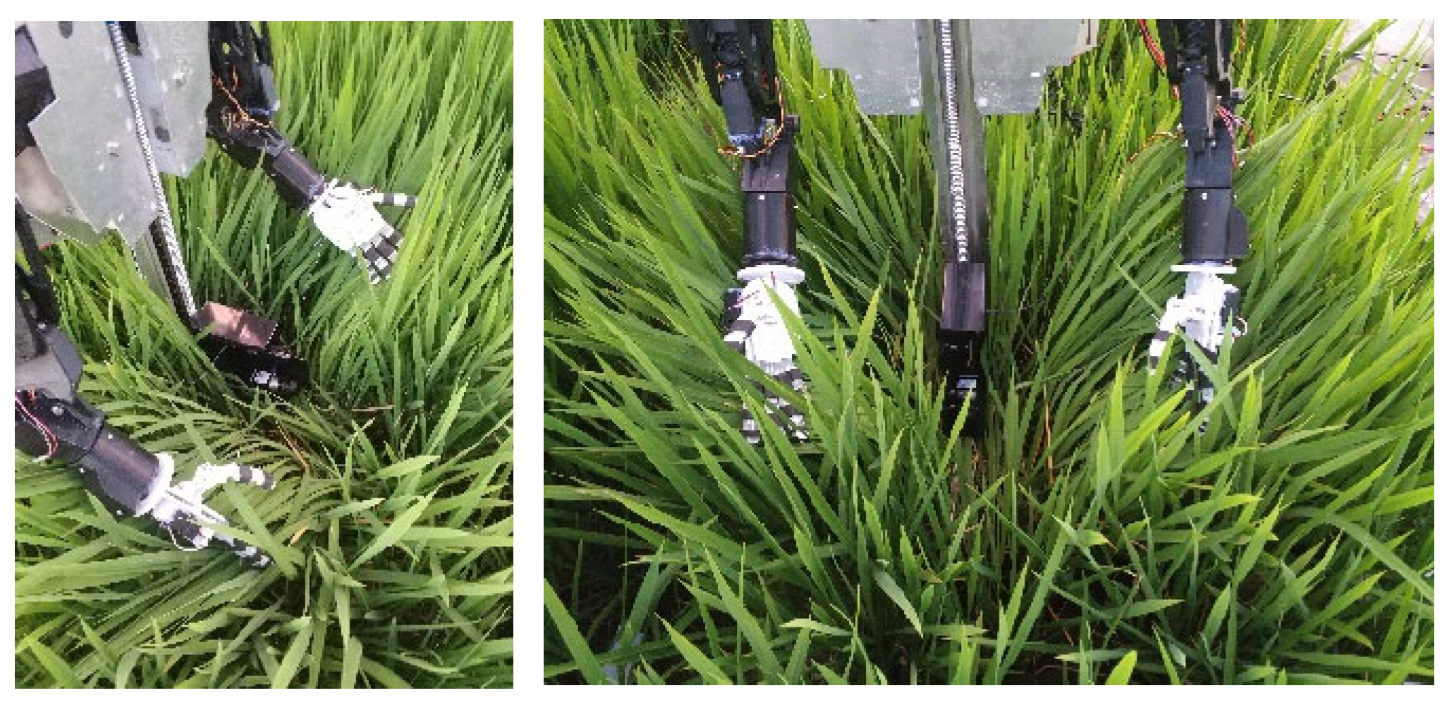 Agriculture 12 01966 g002 Agriculture 12 01966 g002