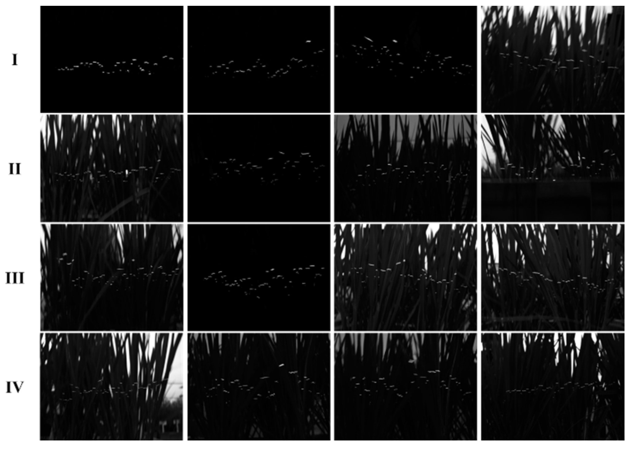 Agriculture 12 01966 g006 Agriculture 12 01966 g006