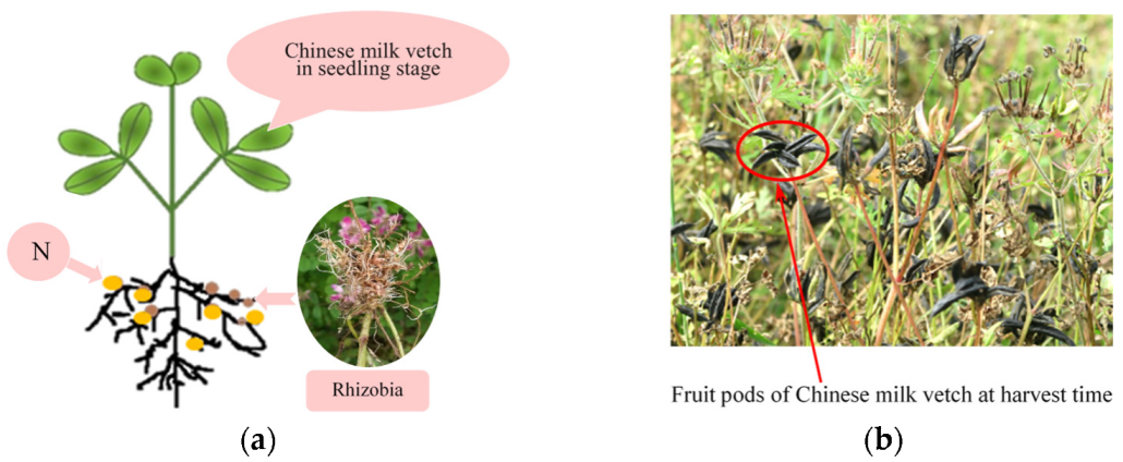 Agriculture | Free Full-Text | Design and Multi-Parameter