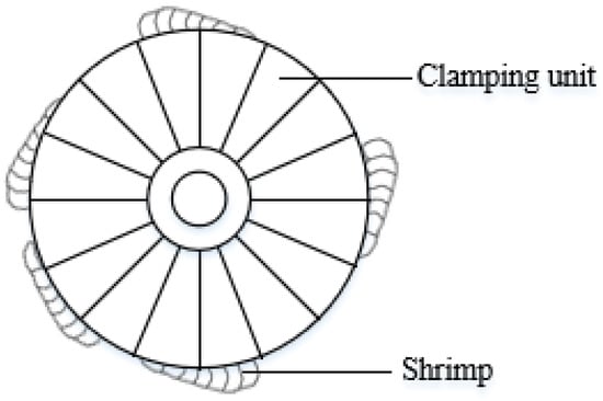 2022 New Round Belly Simulation Shrimp