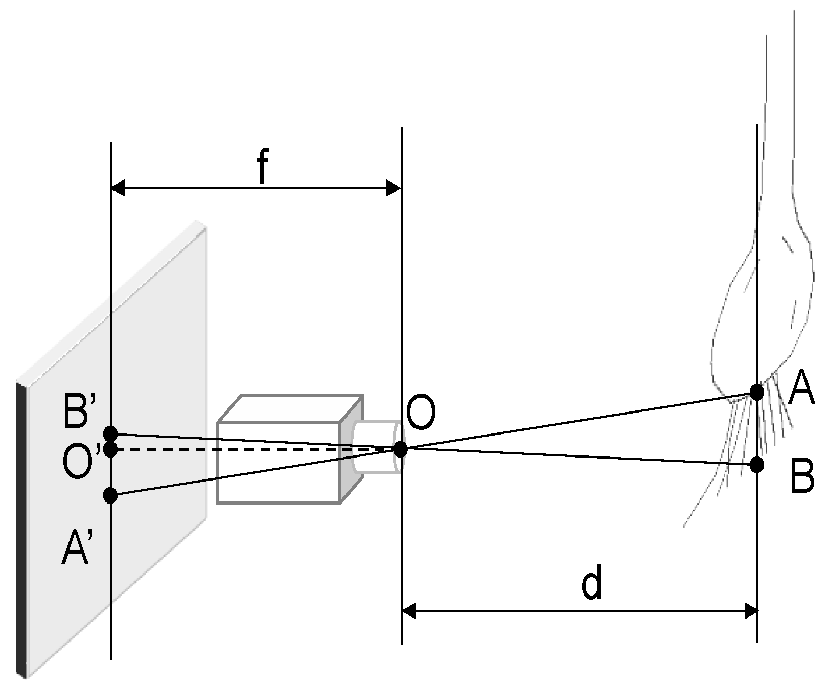 Agriculture 12 02119 g003
