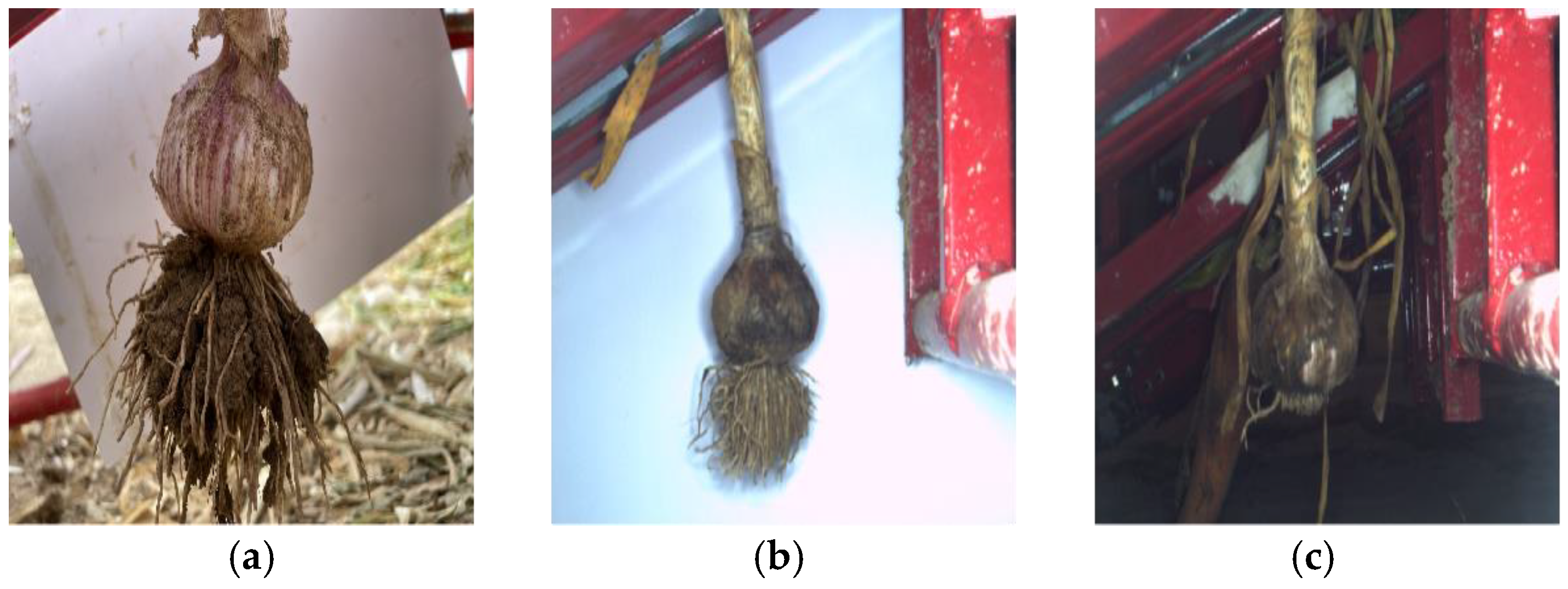 Agriculture 12 02119 g014