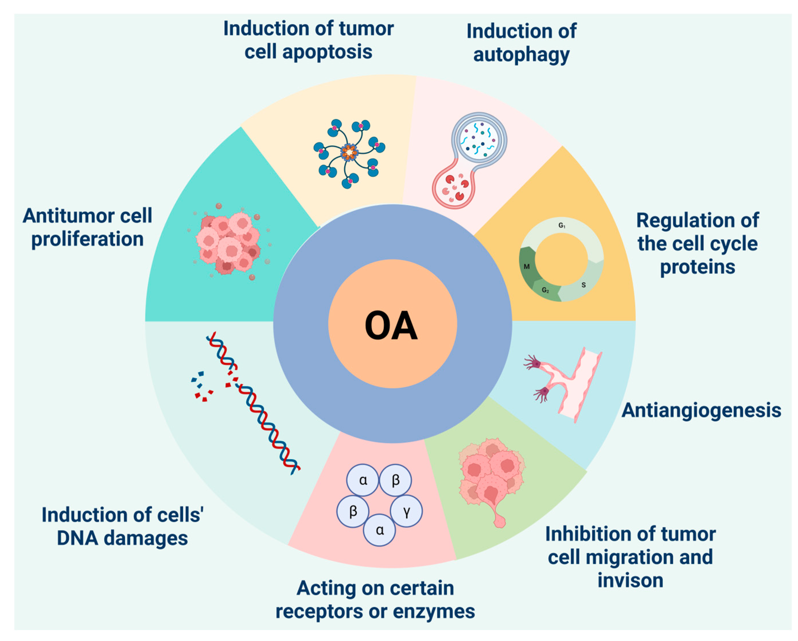 Agriculture 12 02142 g002