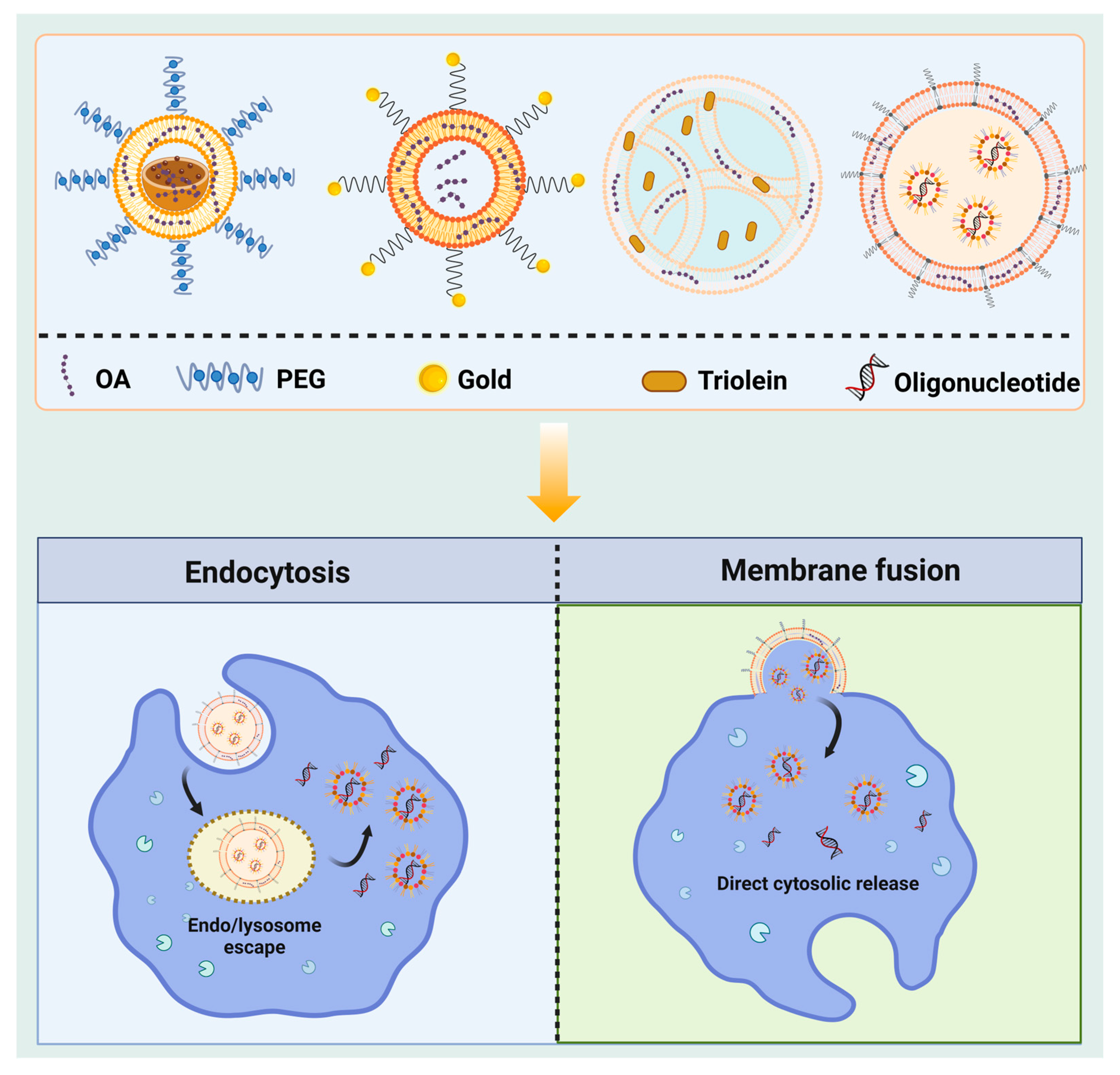 Agriculture 12 02142 g004