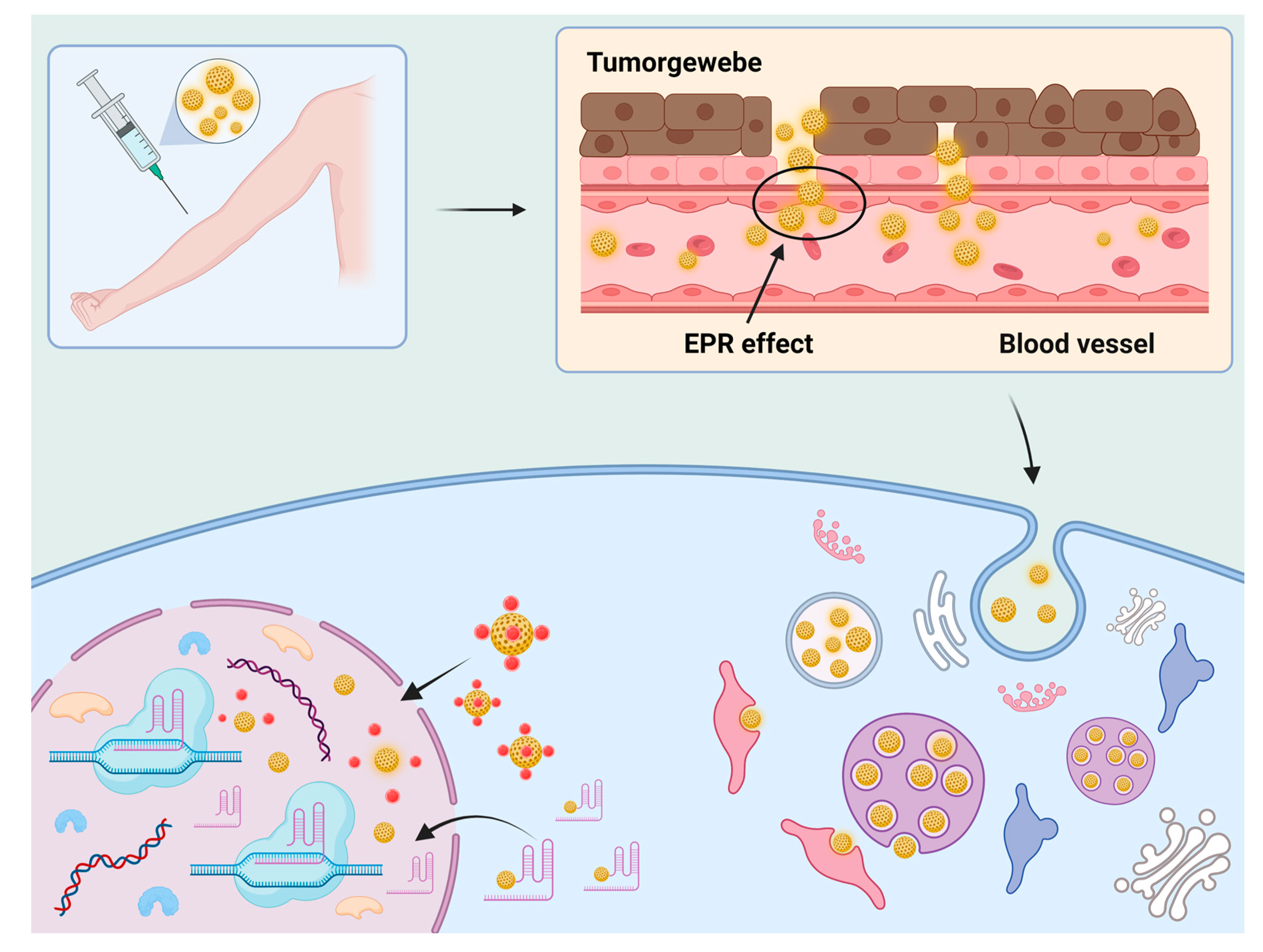Agriculture 12 02142 g005