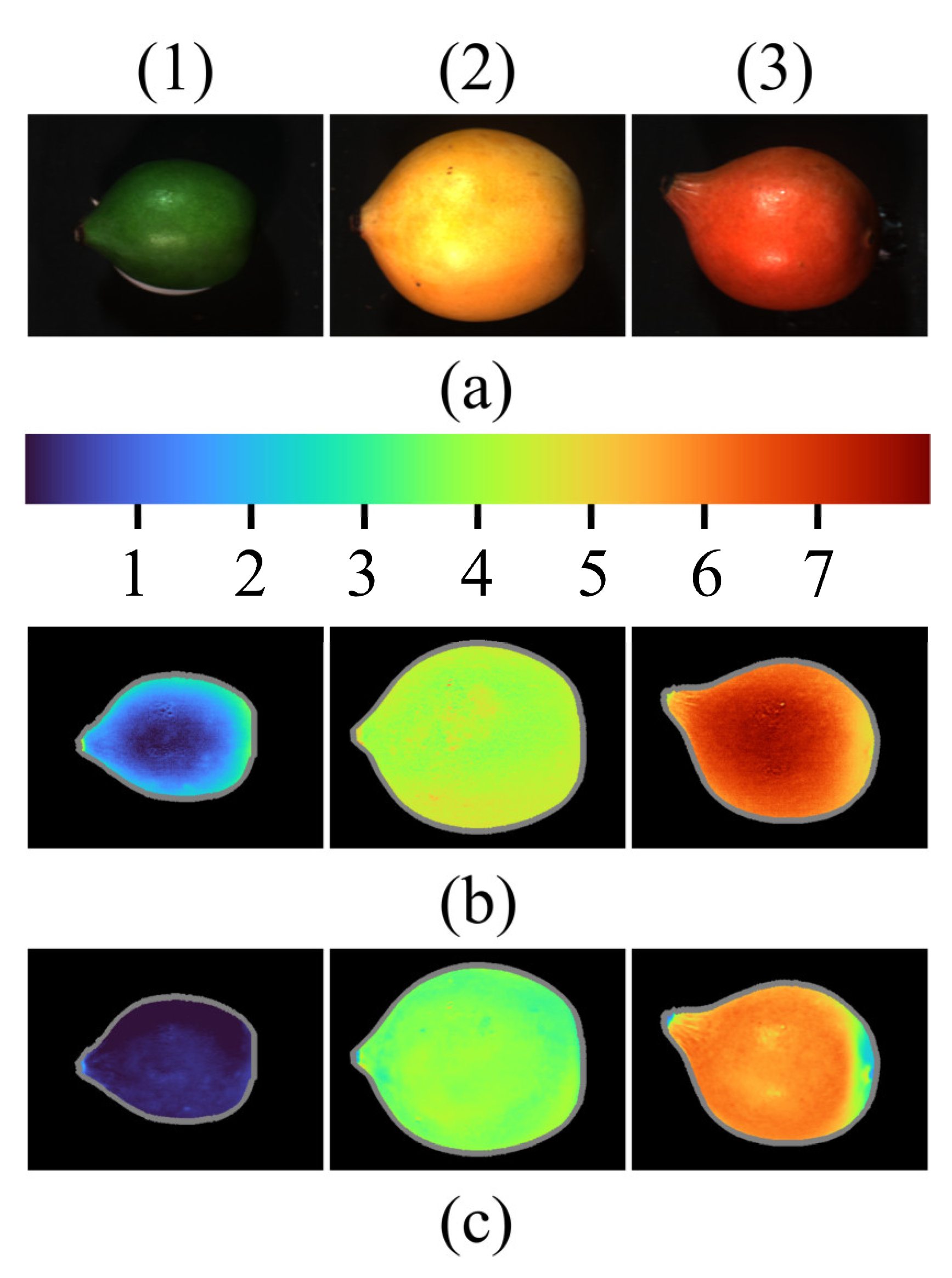 Agriculture 12 02145 g007