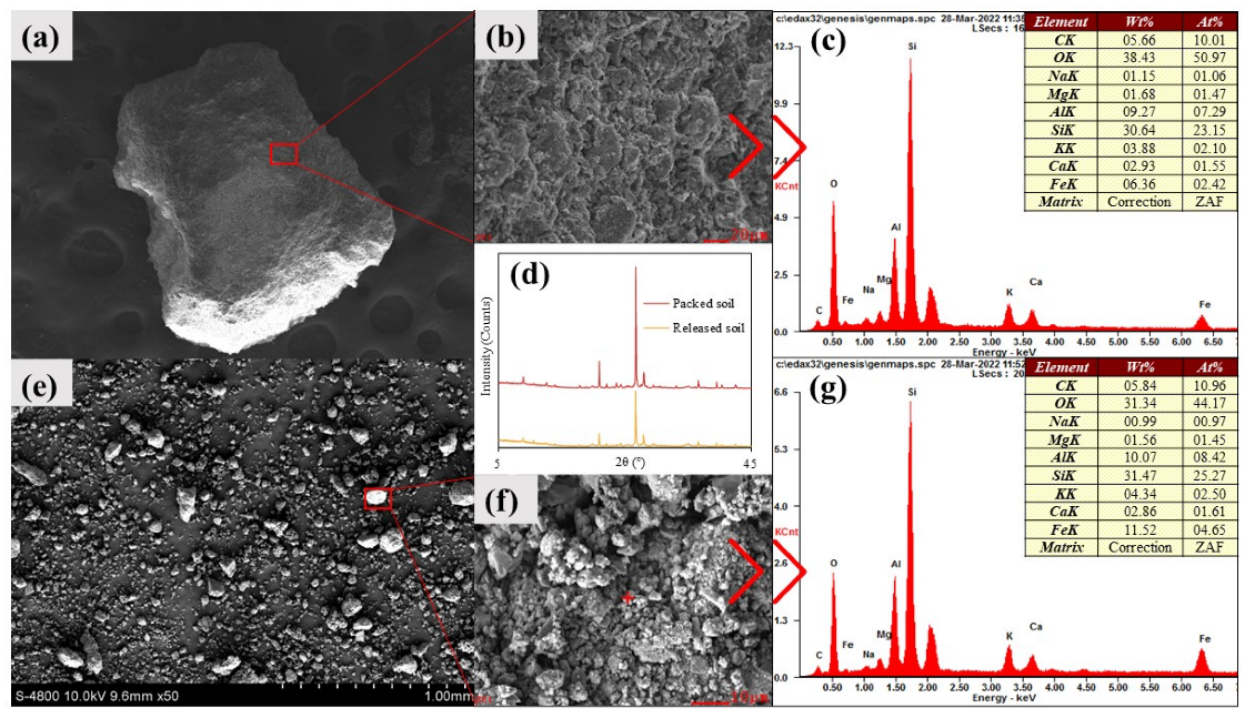 Agriculture 12 02155 g006 Agriculture 12 02155 g006