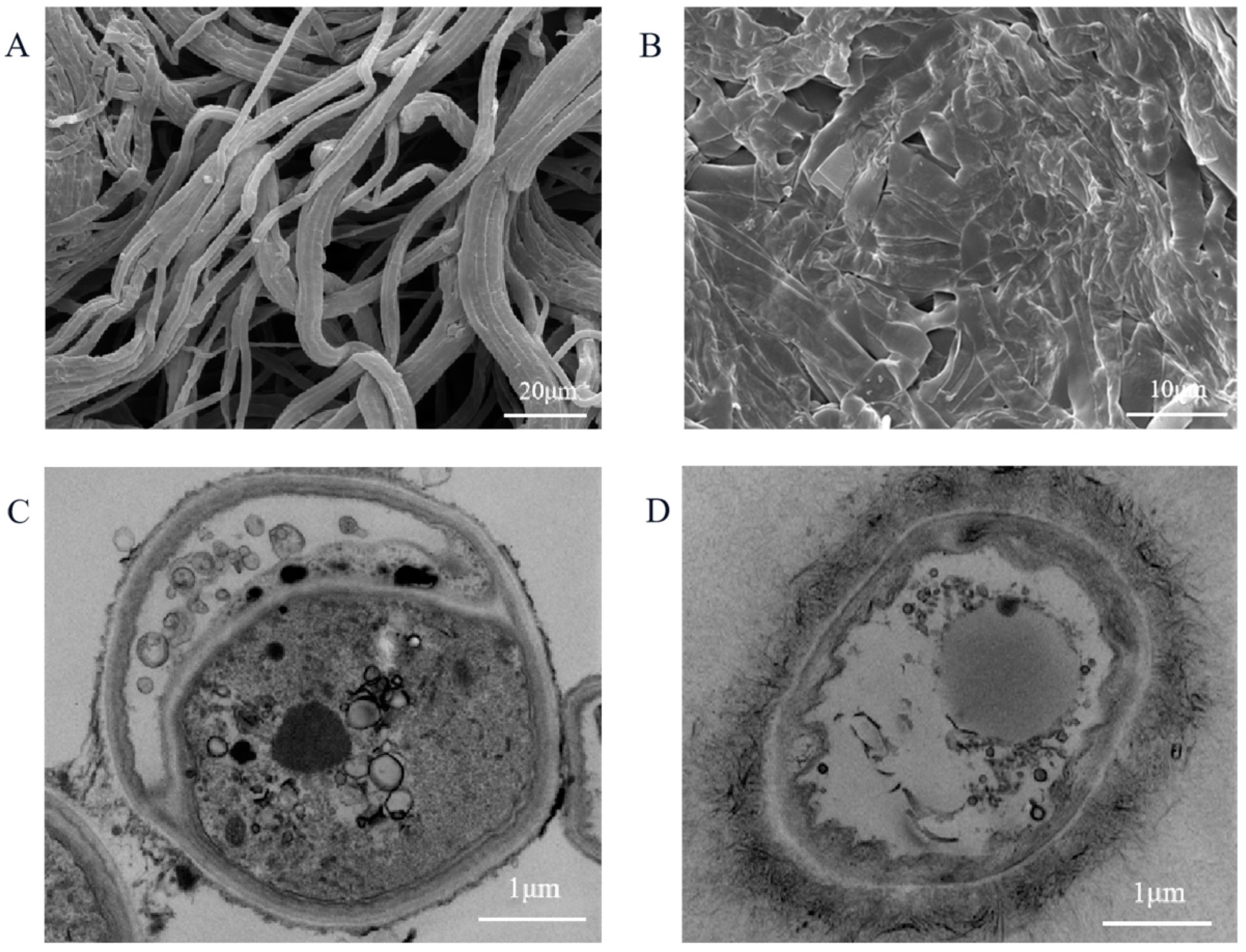 Agriculture 13 00015 g004