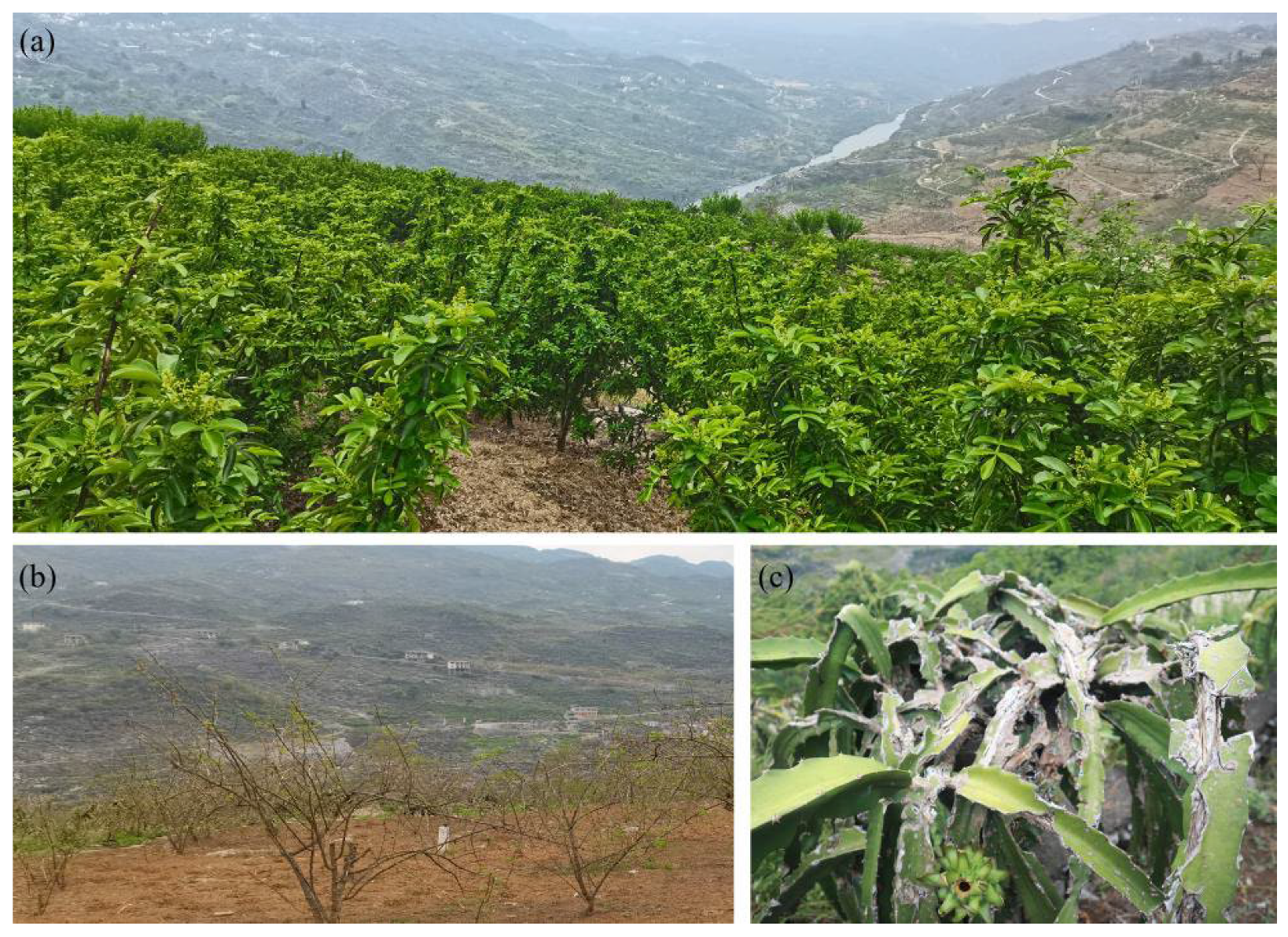 Agriculture 13 00043 g008