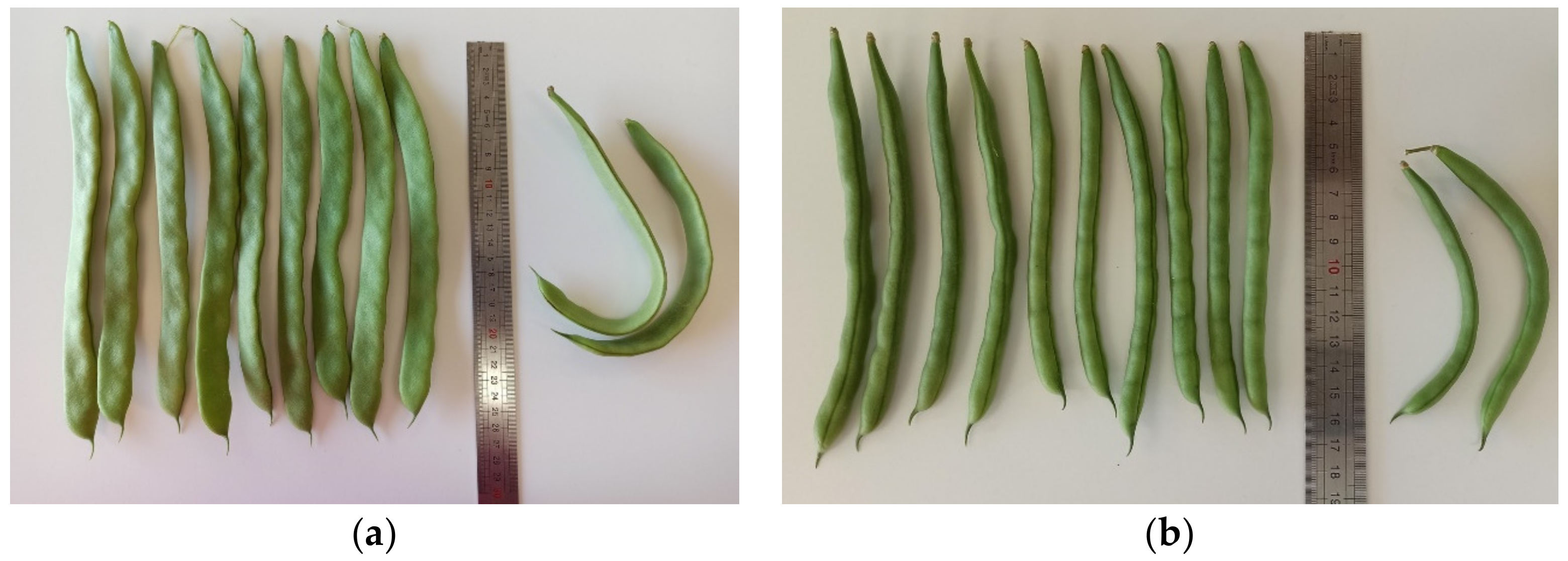 Agriculture 13 00046 g0a1 Agriculture 13 00046 g0a1