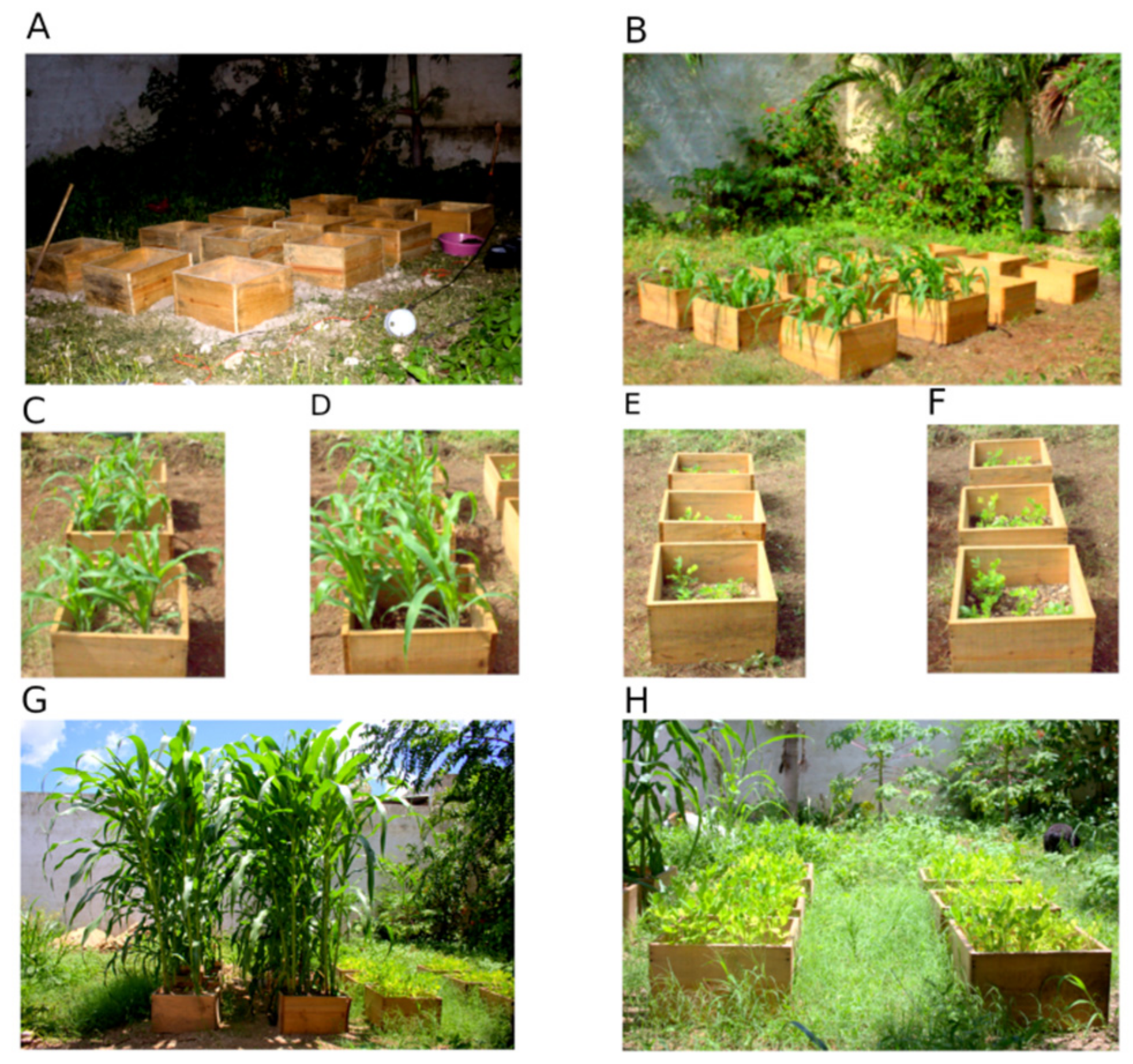 Agriculture 13 00059 g004 Agriculture 13 00059 g004