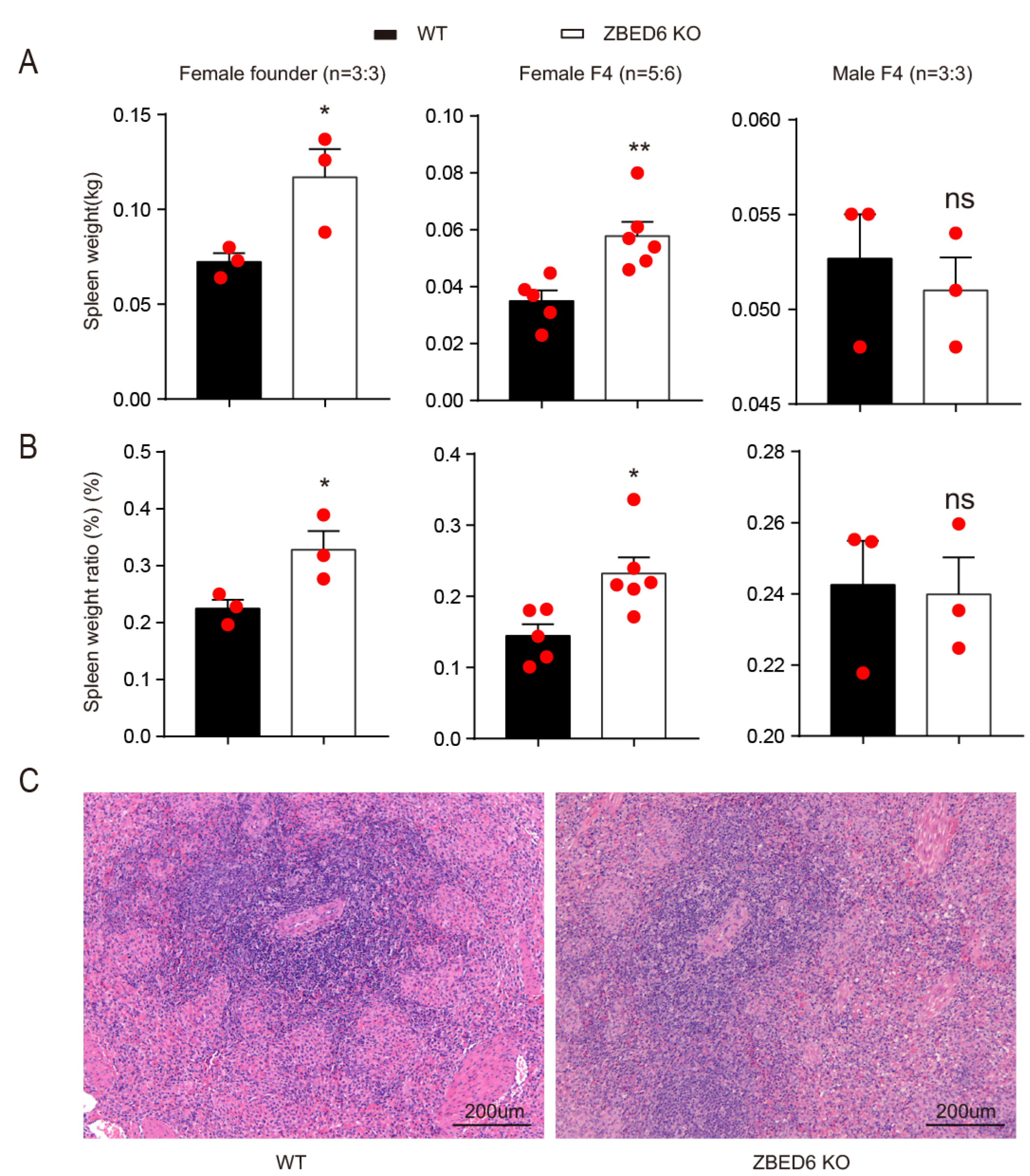 Agriculture 13 00108 g001