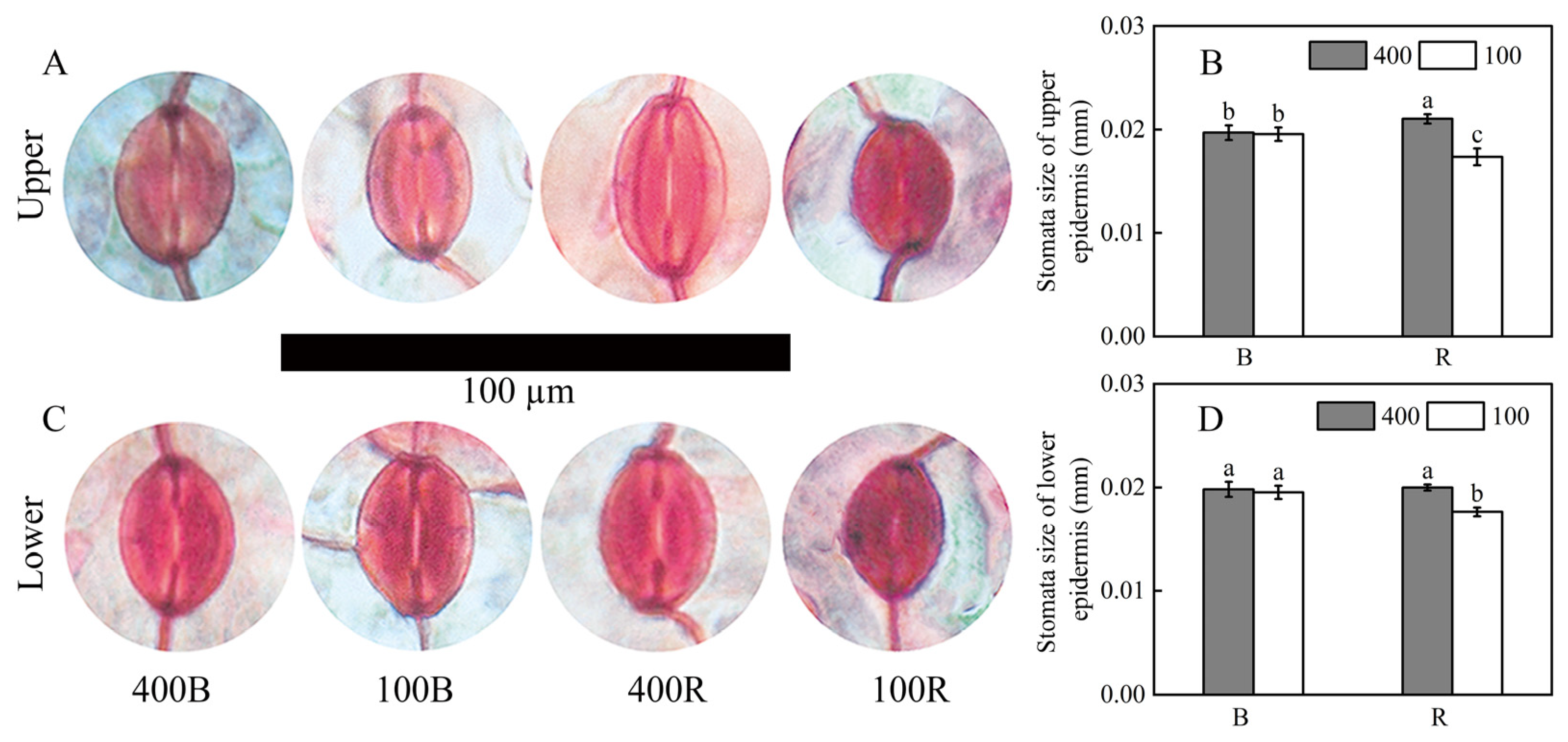 Agriculture 13 00119 g002