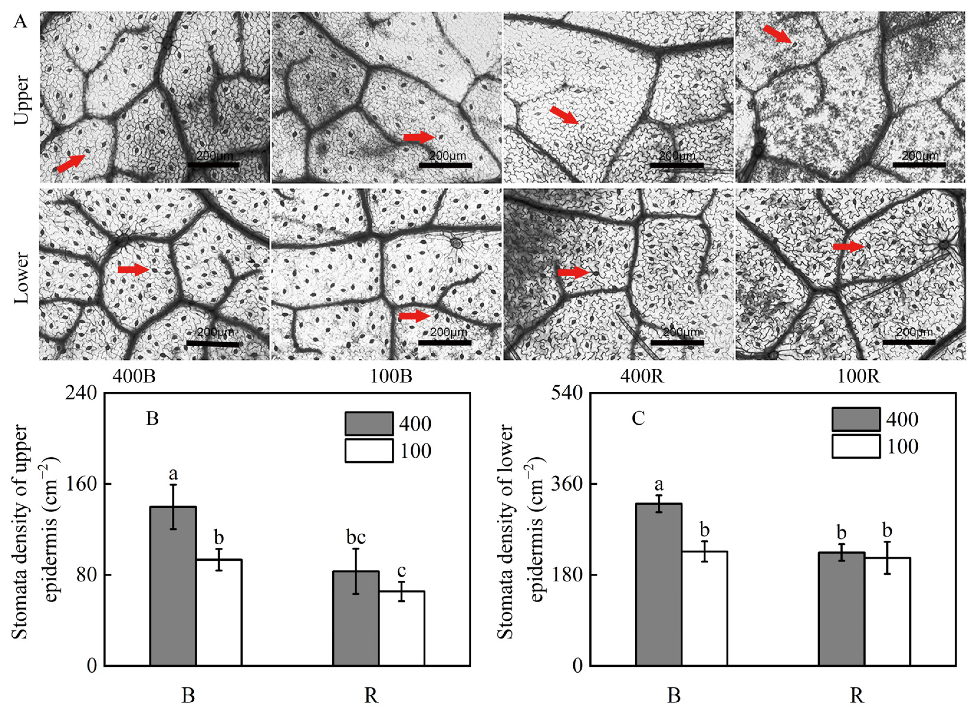 Agriculture 13 00119 g003